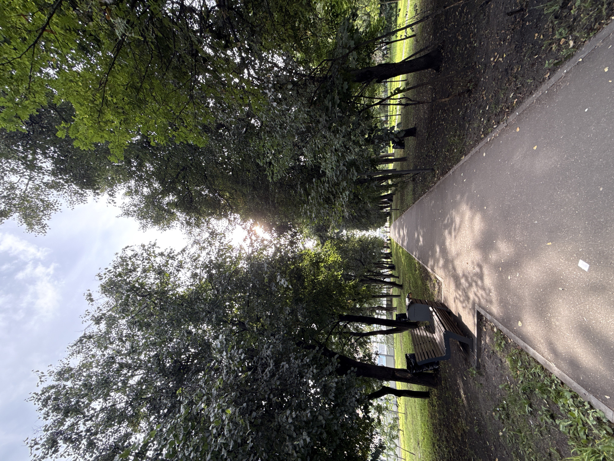A paved pathway in a park stretches into the distance, flanked by rows of mature trees with dense green foliage. The sun is visible through the canopy, casting dappled shadows on the path. To the left, a wooden park bench with a metal frame sits next to a trash receptacle. Further along the path, a few distant figures can be seen walking. The ground adjacent to the path is covered in grass and scattered leaves. The scene appears to be located in a city park in Moscow, Russia, possibly during late summer or early autumn, given the lushness of the trees and the presence of some fallen leaves.