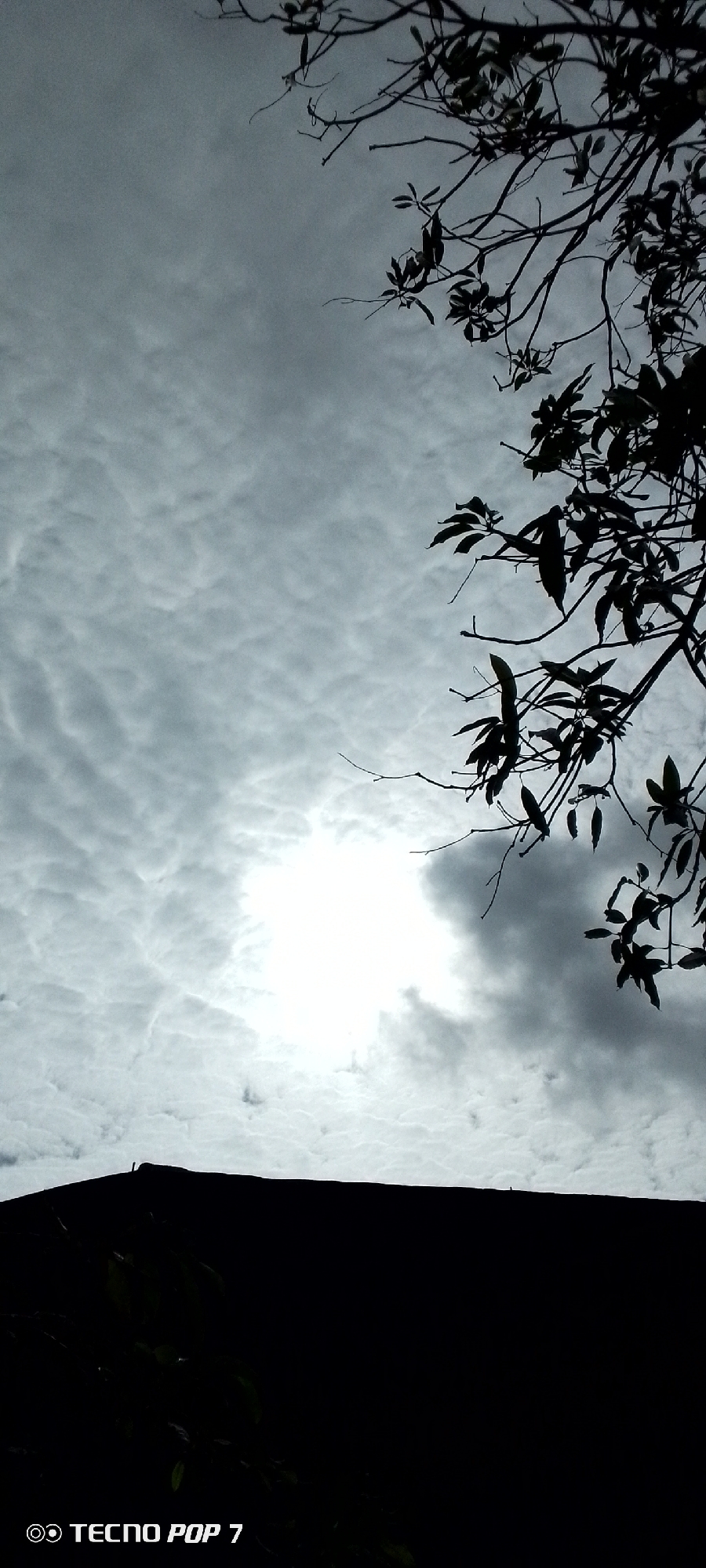 The image shows a silhouette of a dark, sloped rooftop against a cloudy sky. The sun is partially visible behind a thick bank of clouds, creating a bright, diffused light source in the upper center of the frame. The sky is filled with textured clouds that appear to be moving. In the upper right portion of the image, the silhouetted branches of a tree with some leaves are visible against the sky. The lower part of the image is dominated by the dark silhouette of the rooftop, obscuring any details of what might be on it or below it. There appears to be a tiny, silhouetted figure standing on the peak of the rooftop on the far left. The overall mood is somewhat somber and dramatic due to the dark silhouettes and the overcast sky, but the bright sun suggests a hint of light breaking through. The time of day appears to be daytime, possibly late afternoon or early morning given the lighting. There is no explicit information about the location within the image itself, but with the provided context of Altagracia, Venezuela, it could be a residential or commercial building in that area. Visible text at the bottom left of the image reads "TECNO POP 7".