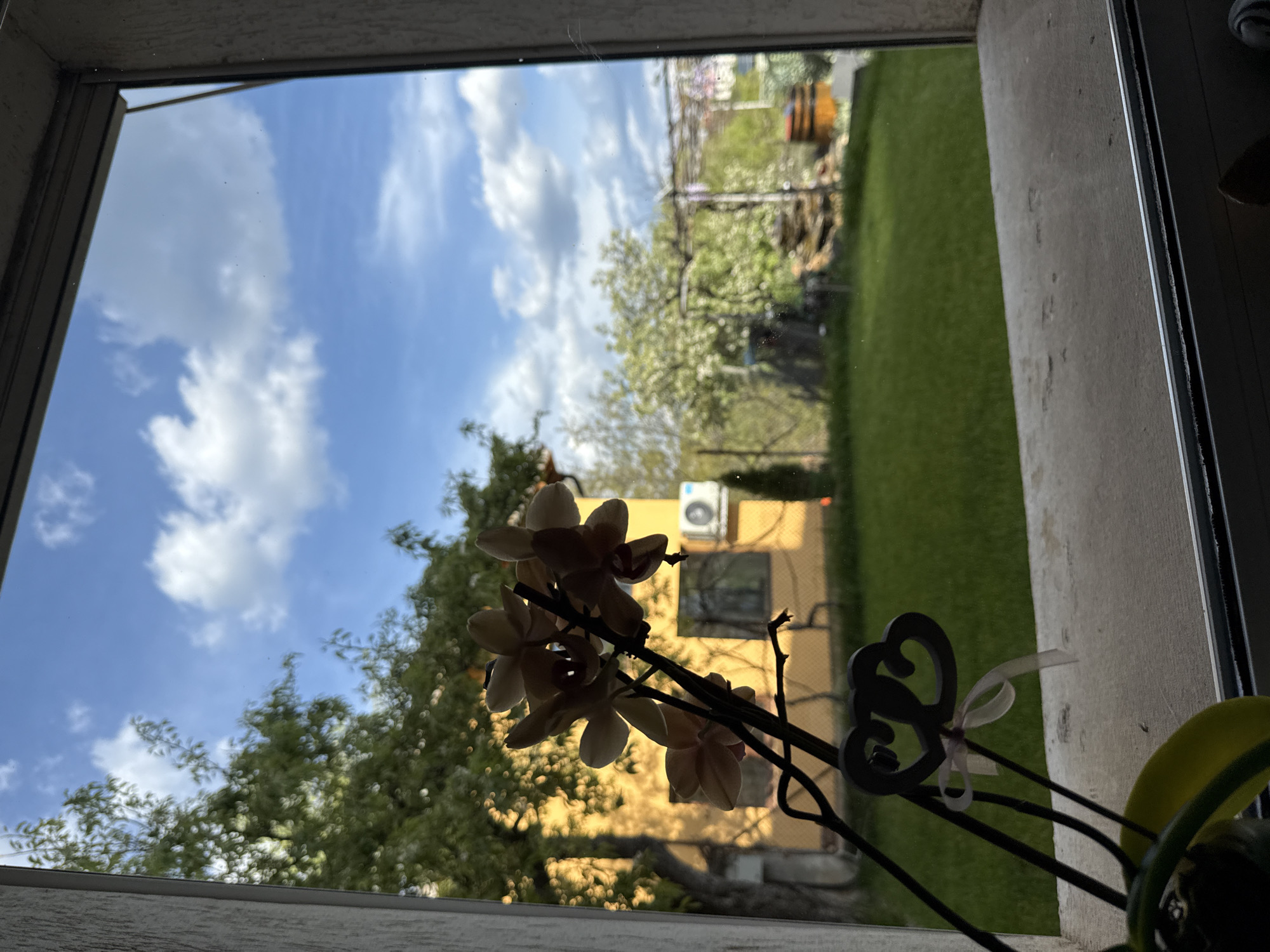 The image shows a view from inside a building, looking out of a window. An orchid plant is in the foreground, with flowers in bloom. Outside the window, there is a yard with green grass and trees. A yellow building is visible in the background, likely a house or apartment building. The sky is blue with some clouds. The location is likely in Buhovo, Bulgaria, based on the prompt.