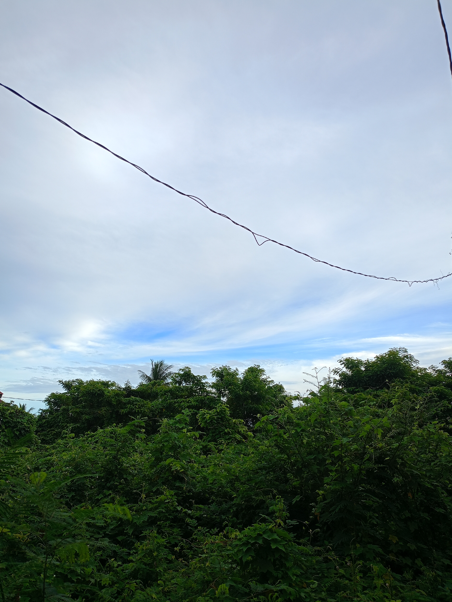 The image shows a view of dense green vegetation in Buketteukuh, Indonesia, under a cloudy sky with patches of blue. A single power line stretches across the upper portion of the frame. The vegetation is dominated by various trees and shrubs. One taller palm tree is visible among the foliage. The foreground is heavily overgrown, suggesting a natural, uncultivated environment. The sky has predominantly white clouds with streaks of blue visible towards the horizon.
