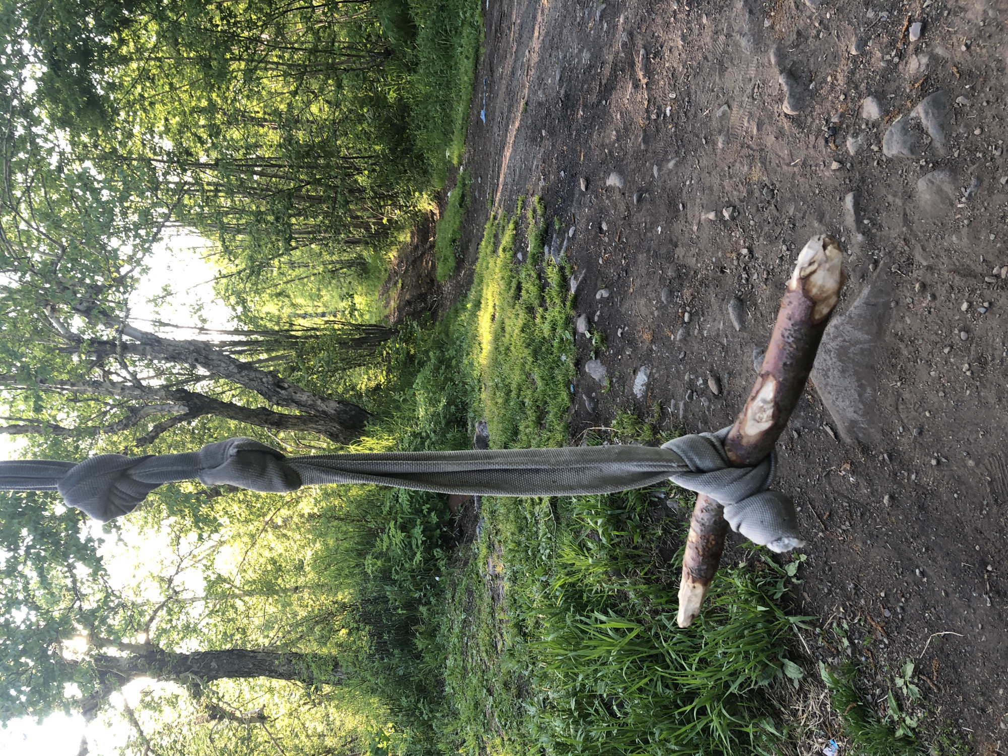 This image depicts a handmade swing made from a thick rope and a tree branch, suspended in a wooded area. The rope is gray and appears to be made of woven material. It is tied in a knot around the branch, which is rough and weathered. The swing hangs over a dirt path that winds through the trees. The path is uneven and appears to be a natural trail, possibly in a rural or wilderness area. The surrounding environment is lush with green vegetation, including tall grass and trees with dense foliage. Sunlight filters through the leaves, casting dappled shadows on the ground. The scene suggests a rustic and natural setting, likely outdoors. The image does not show any people or specific landmarks that would definitively place it in Yelizovo, Russia. However, the presence of a natural wooded area and a dirt path is consistent with rural landscapes found in and around cities like Yelizovo.
