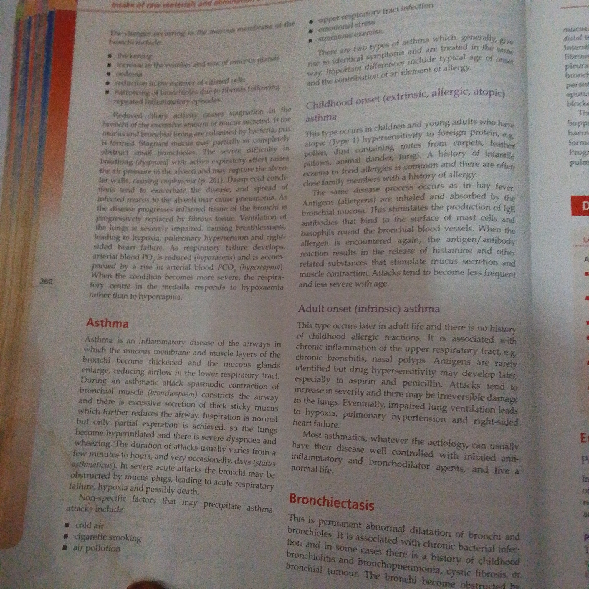 The image is a close-up, overhead shot of an open book displaying text about respiratory illnesses. The pages are slightly yellowed, suggesting the book is older. The text is printed in black ink with some headings and key terms highlighted in red.
The left page, numbered 260 at the bottom, contains detailed descriptions of conditions affecting the bronchi and lungs. Bullet points are used to list symptoms and factors related to asthma. The text discusses changes in the mucous membrane, ciliary activity, and the progression of diseases like emphysema and pneumonia.
The right page continues the discussion on asthma, categorizing it into "Childhood onset (extrinsic, allergic, atopic) asthma" and "Adult onset (intrinsic) asthma." It explains the triggers, mechanisms, and characteristics of each type. A section on "Bronchiectasis" begins on the lower half of the right page, describing it as a permanent dilation of bronchi and bronchioles, often associated with chronic bacterial infection.
The lighting suggests the photo was taken indoors, possibly in a room with natural light as there are no harsh shadows. There are no people or specific objects other than the book itself visible in the frame. The overall impression is of an educational or medical text being presented. The text is clearly legible, providing information on medical conditions.