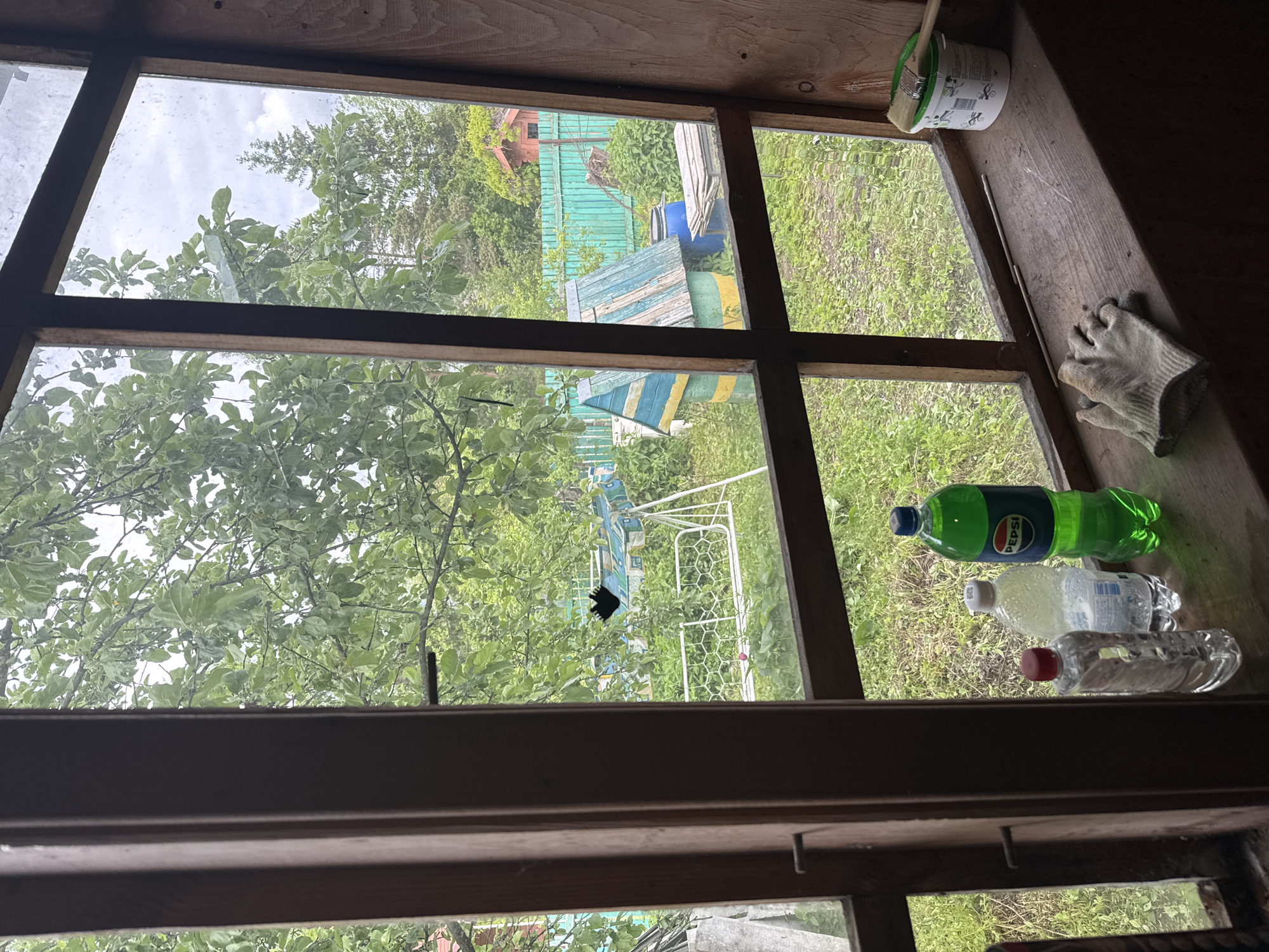 The image shows a view from inside a wooden structure, likely a shed or small building, looking out through a multi-pane window. The window frame is dark brown, and the glass appears slightly dirty. The outside scene is a lush, green yard or garden. Trees with dense foliage are visible, along with patches of grass and various objects scattered around. There is a blue barrel and several pieces of painted lumber. A partially obscured white soccer goal is visible in the distance. On the window sill inside, from right to left are a gray work glove, a green Pepsi bottle, a clear bottle filled with liquid, and a small plastic bottle with a red cap, all horizontally placed. On the top right, there is a can of paint with a brush. The location is Unknown, Unknown. No people are visible, and no actions or interactions are occurring within the frame.