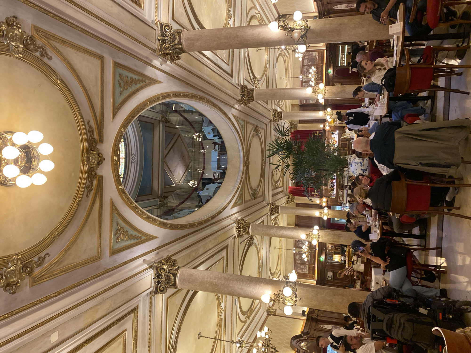 The image captures a grand, ornate interior space, likely a historic cafe or restaurant, filled with patrons. The scene is observed from a high vantage point, looking down along a long hall or dining area.
The architecture is opulent, featuring high ceilings adorned with intricate gilded moldings, arches, and decorative panels in cream and gold hues. Large, classical columns with detailed capitals punctuate the space, supporting the structure and adding to the grandeur. Numerous multi-branched chandeliers with bright, spherical bulbs provide warm illumination throughout the room, suggesting an evening or indoor setting where natural light is secondary. A striking circular opening or mirror is prominent in the ceiling/wall on the left, reflecting other parts of the elaborate interior and creating a sense of depth. Below this, and elsewhere on the walls, are panels with subtle light green accents featuring gilded laurel leaf motifs.
Many people are seated at tables arranged along the length of the room. They are engaged in dining, conversation, and socializing. Some individuals appear to be staff, dressed in white shirts and dark vests. The furniture consists of wooden tables and a mix of wooden chairs, some with red upholstered seats. A large potted plant with dark green foliage is centrally located, adding a touch of nature to the refined interior. One person is visible in a wheelchair, positioned at a table.
The atmosphere appears lively and elegant, typical of a well-patronized establishment. The provided context indicates this location is in Buenos Aires, Argentina, consistent with the classical European-influenced architectural style often found in historical buildings in that city. No discernible text is visible within the image.
