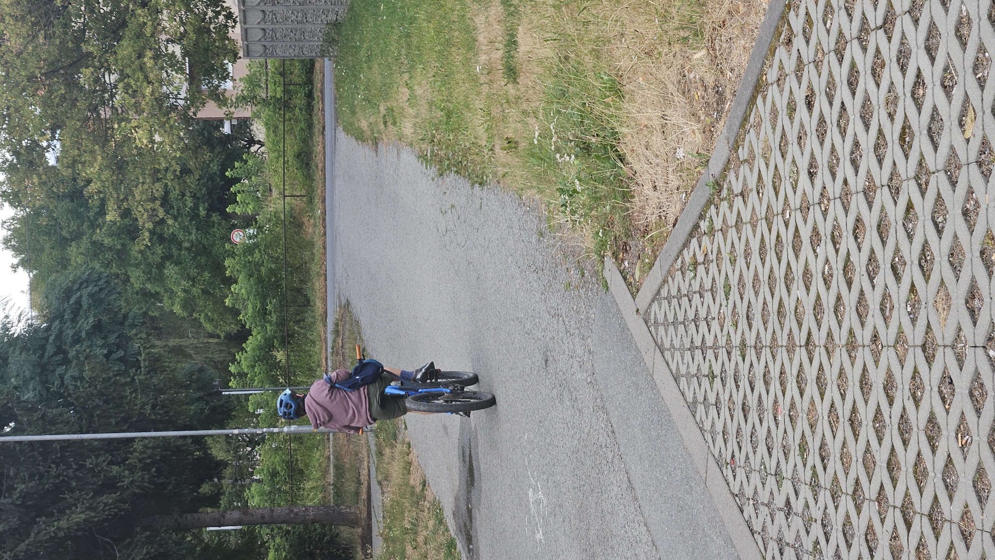 The image shows a person wearing a helmet and a pink hoodie riding a blue bicycle on an asphalt path. The path curves to the right, and is bordered by dry grass and a decorative concrete pavement on the left. In the background, there are trees, bushes, and a gray concrete fence. A traffic sign is visible in the distance. The scene appears to be an outdoor recreational area or a path in a residential neighborhood.
