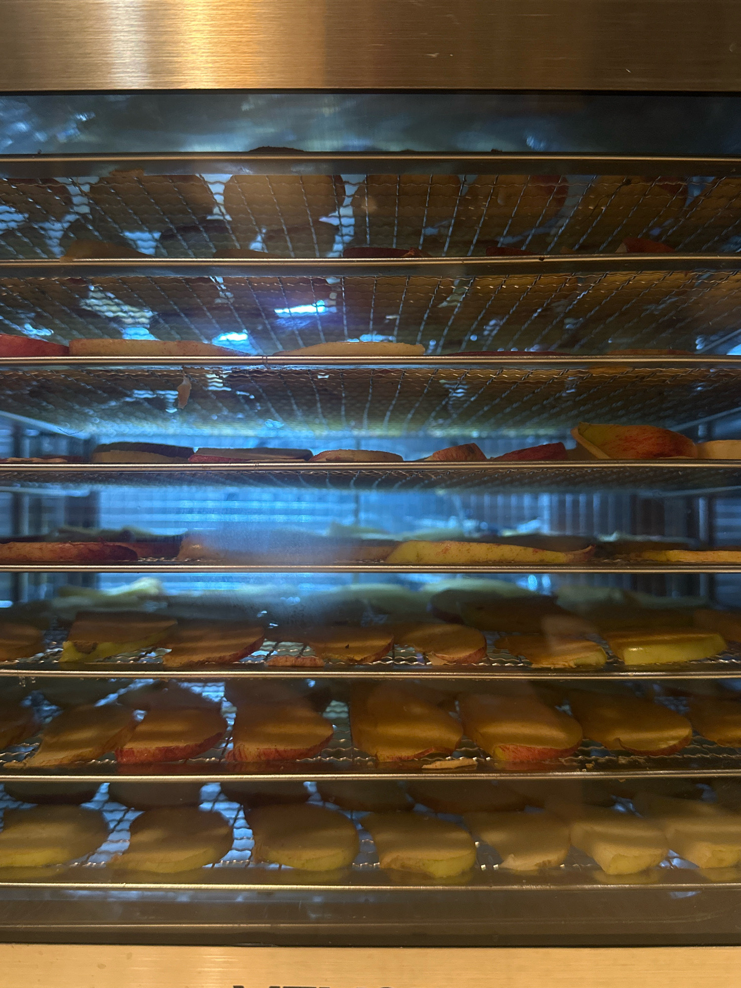 The image shows several racks of sliced apples being dehydrated. The apples are arranged in a single layer on wire racks, which are stacked vertically within a dehydrator. The dehydrator appears to be made of stainless steel, with a clear front panel allowing visibility of the contents. The lighting suggests an indoor setting, possibly a kitchen. The location is described as Lapės, Lithuania.