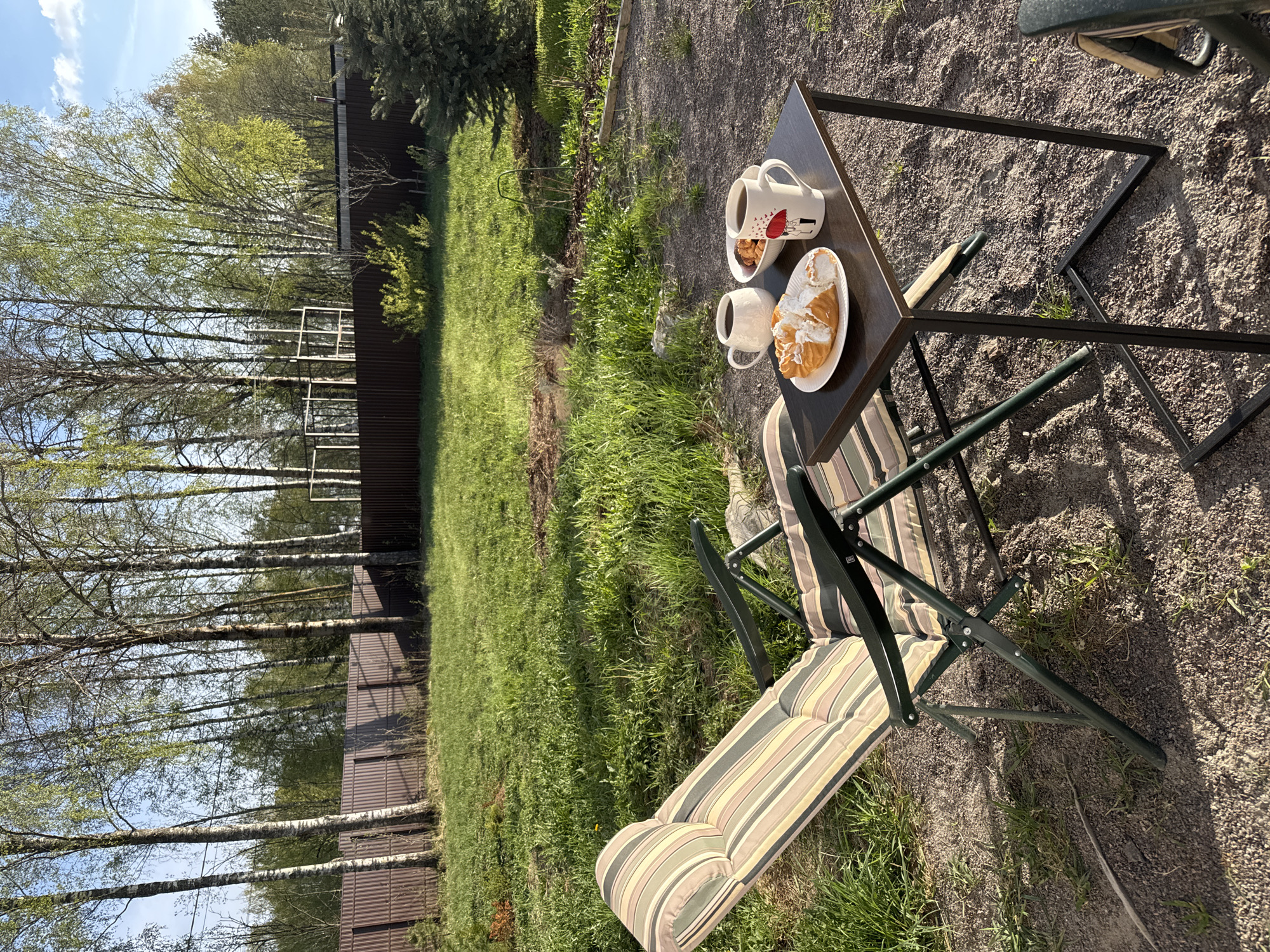 The image captures a serene scene in what appears to be a backyard or garden setting, possibly in Steklyannyi, Russia, given the information provided. A small, dark-topped table with a metal frame is set with two mugs, one adorned with a whimsical umbrella design, and a plate holding pastries, possibly cream puffs. Beside the table, a folding chair with a striped cushion invites relaxation.
The environment is marked by a blend of natural and constructed elements. A backdrop of tall, slender birch trees lines a brown fence, creating a boundary to the property. The ground is a mixture of grass and gravel, suggesting a transition from manicured lawn to a more natural, less maintained area. The lighting indicates a sunny day, casting shadows that accentuate the textures of the surfaces. There are no people visible in the shot. The scene suggests a moment of quiet enjoyment, perhaps a leisurely breakfast or snack taken outdoors.
