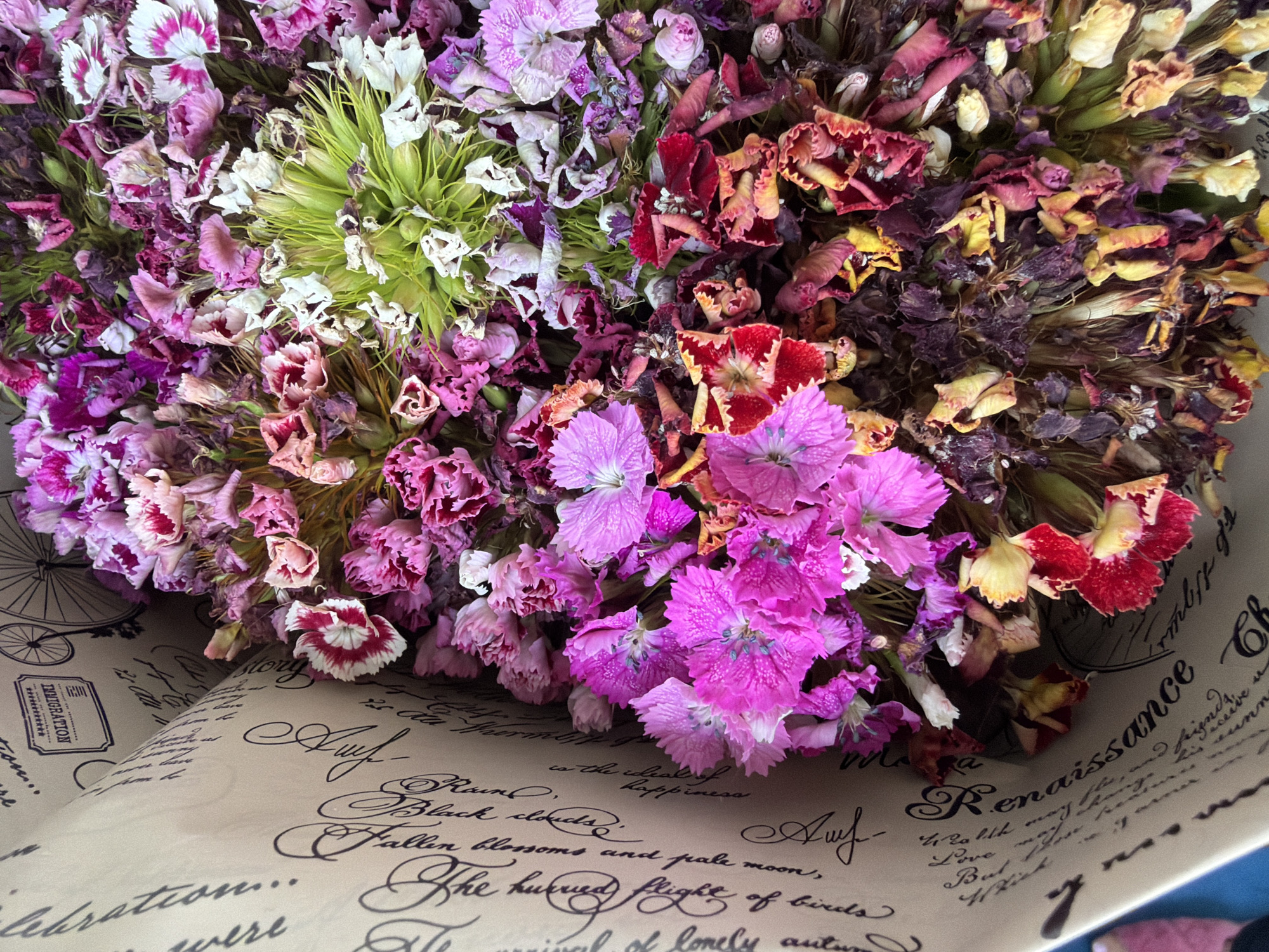 A close-up, top-down, medium shot captures a bouquet of dried flowers. The flowers are a mix of pink, red, yellow, purple, and green hues. Some flowers are fully bloomed, while others appear wilted and dry. The bouquet is partially wrapped in tan paper that has cursive writing and drawings of bicycles printed on it. The overall setting appears to be indoors, with no discernible urban elements or landmarks visible to suggest a specific location within Kyiv, Ukraine.