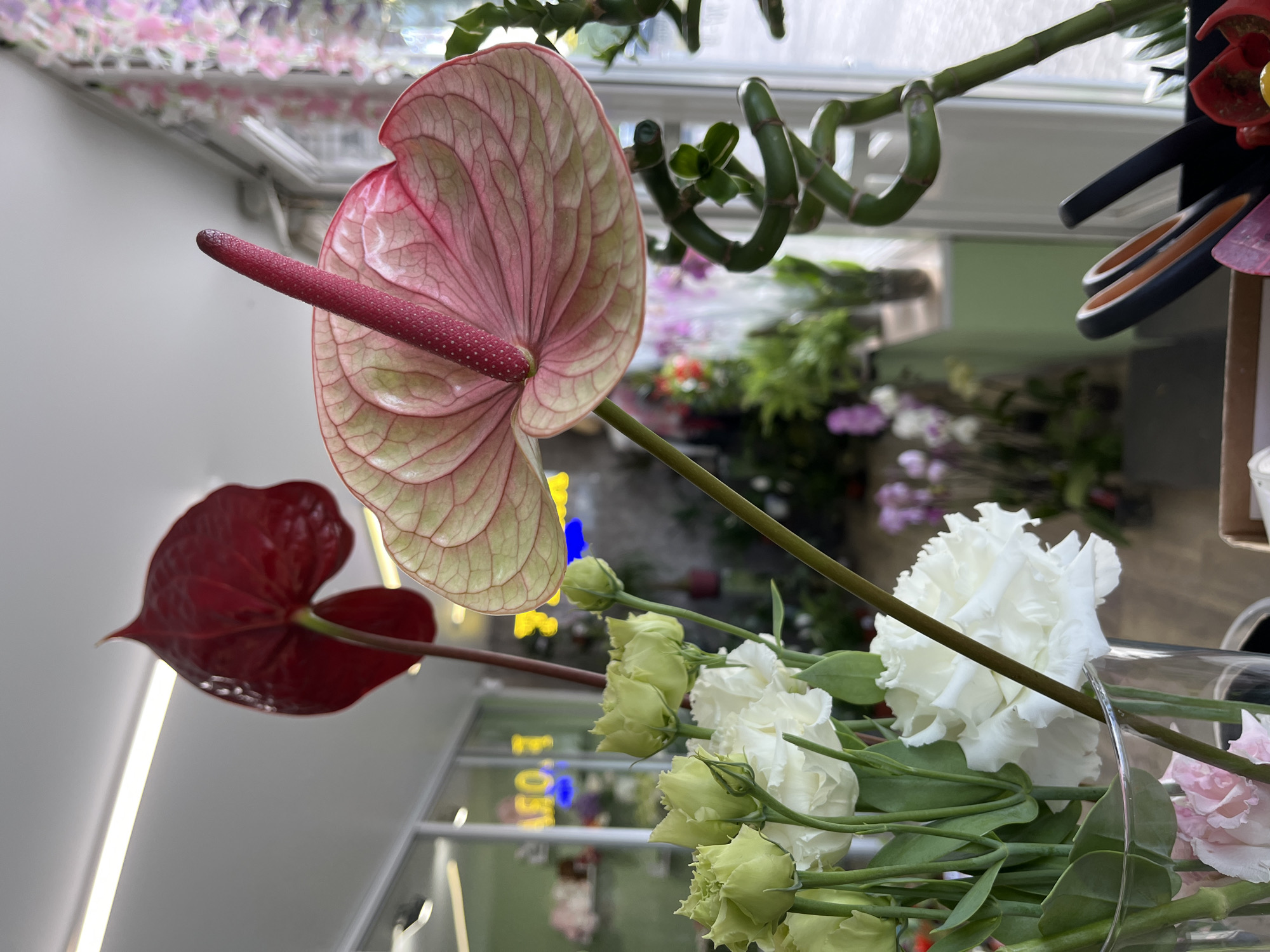 In a florists shop, two anthurium flowers are prominently displayed in the foreground, one deep red and the other a delicate pink with green veining. To the left, a bouquet of light green lisianthus buds and white lisianthus flowers sits in a clear glass vase. To the right, a spiral of green bamboo stalks stands tall. In the background, the shop interior is visible with displays of various plants and floral arrangements, and through a window, a glimpse of the city street outside. A box containing scissors and other tools is also visible in the foreground. The scene is brightly lit, suggesting it is daytime.
