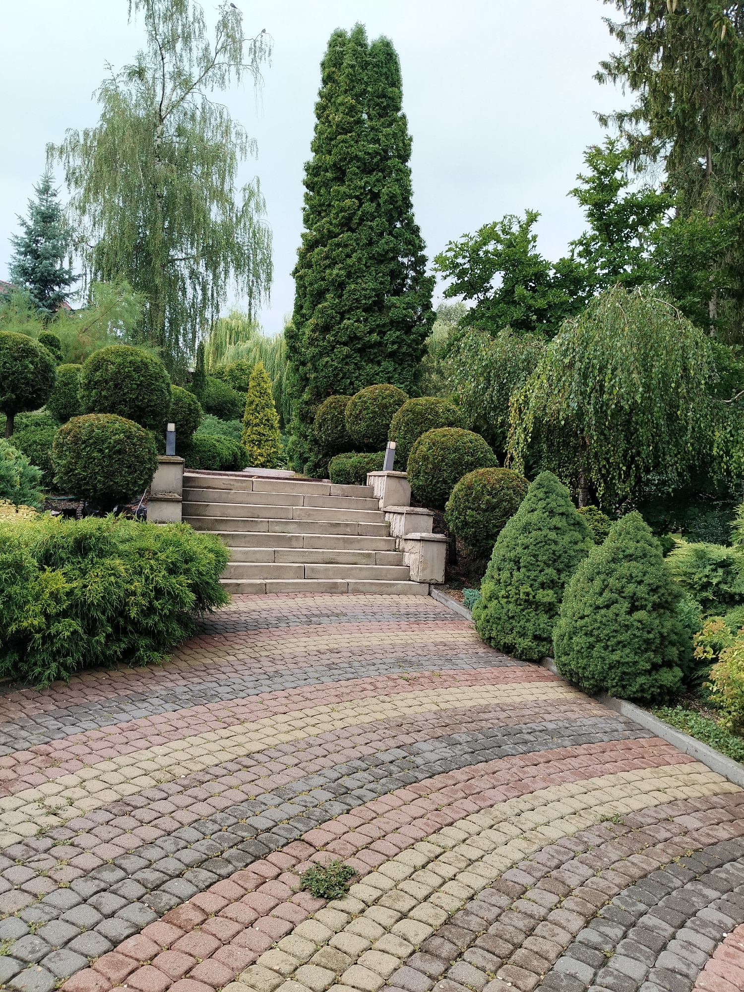 The image depicts a landscaped garden with a paved walkway leading to a set of stone stairs. The walkway is made of interlocking pavers in alternating bands of gray, red, and yellow. The stairs are made of large, flat stone blocks.
The garden features a variety of trees and shrubs. On the left side of the walkway, there are several meticulously trimmed spherical shrubs. To the right of the stairs, there are several conical evergreen trees. Behind the stairs and to the right, there are various trees and shrubs, including a tall, slender evergreen tree and a weeping tree with long, pendulous branches. In the background, a variety of mature trees can be seen, suggesting a well-established garden. The sky is overcast.
This location is identified as the Ternopil City Park in Ternopil, Ukraine. There are no people or animals visible in the image.