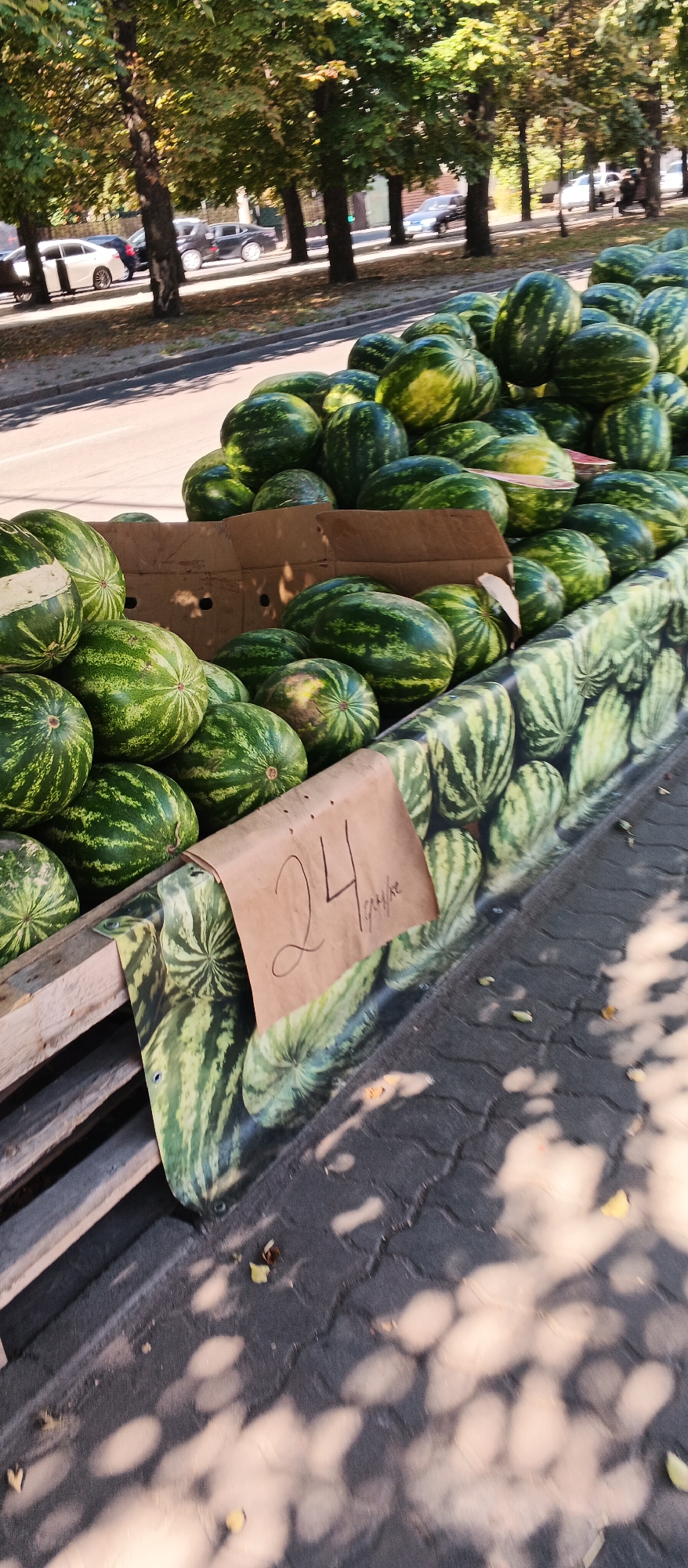 An outdoor scene displays a large pile of watermelons for sale, likely at a street market or roadside stand, in Cherkasy, Ukraine. The watermelons are green with dark stripes and are arranged in cardboard boxes and on a wooden surface. A sign made of brown paper displays the number "24" in black ink, possibly indicating the price. The background shows trees with green foliage and a street with a few cars parked and moving, suggesting an urban or suburban environment. The ground is paved with dark cobblestones, and dappled sunlight casts shadows on the scene.