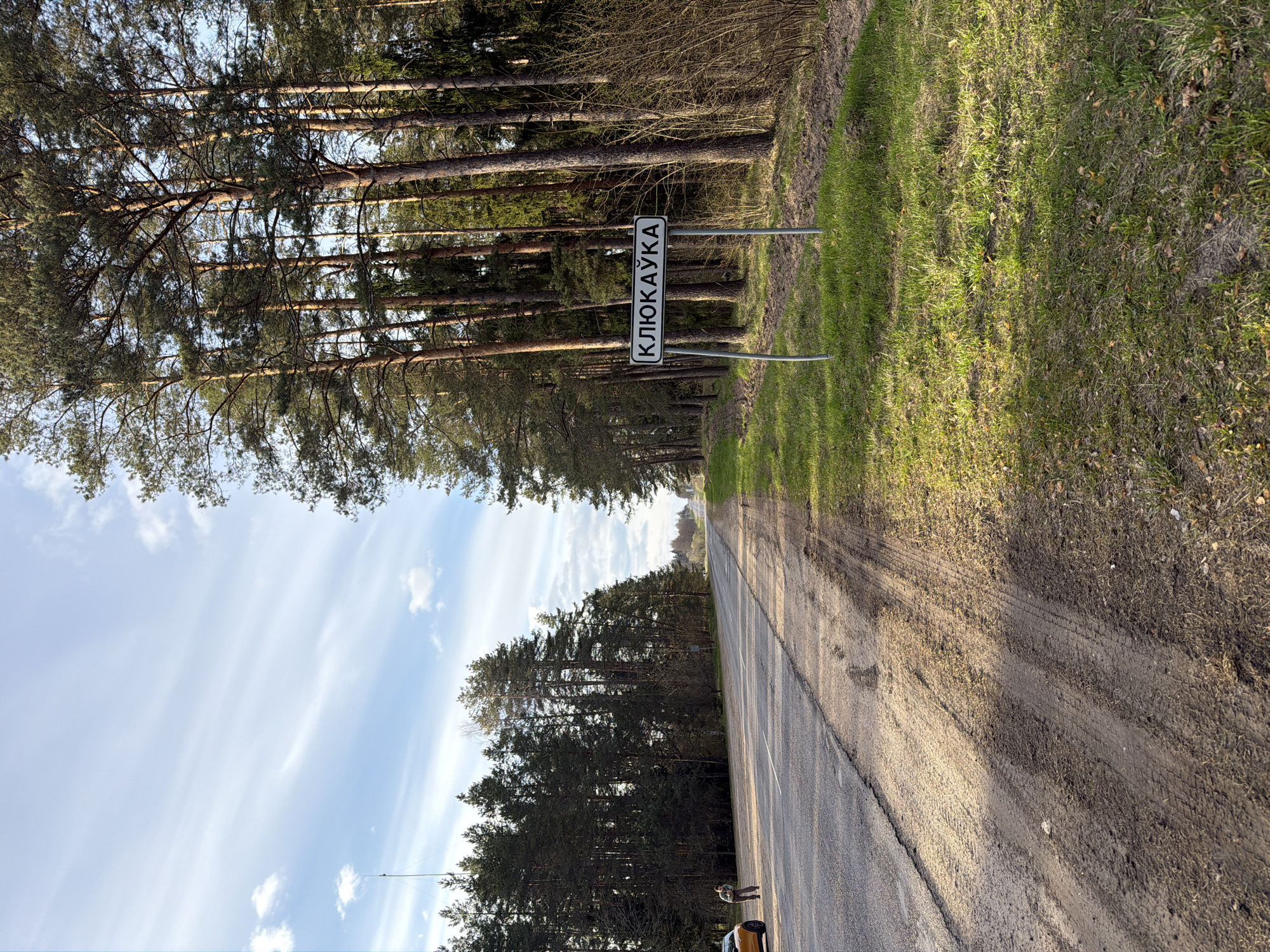 The image, originally rotated 90 degrees clockwise for proper viewing, captures a tranquil rural landscape featuring a road winding through a dense pine forest under a bright sky. The road, which appears to be paved with asphalt, runs centrally through the frame, flanked by grassy verges and a parallel dirt track on the right.
On the left side of the road, a white rectangular sign with black Cyrillic lettering is prominently displayed, reading "КЛЮКАЎКА" (Klyukavka). This sign indicates a specific location, aligning with the provided context of Высокаўскі сельскі Савет, Belarus. Behind the sign, tall, slender pine trees form a thick forest, stretching into the distance and creating a natural tunnel effect along the road. The ground cover consists of green and dry grass, with some visible leaves and twigs.
In the lower left foreground, a person is seen standing near a light-colored car, which appears to be parked on the side of the road. This suggests a stop or a break during a journey. The sky overhead is clear blue with sparse, wispy white clouds. The long shadows cast by the trees across the road and grassy areas indicate either a late afternoon or early morning setting, with warm, directional sunlight. The scene conveys a sense of peaceful solitude in a natural, forested environment.