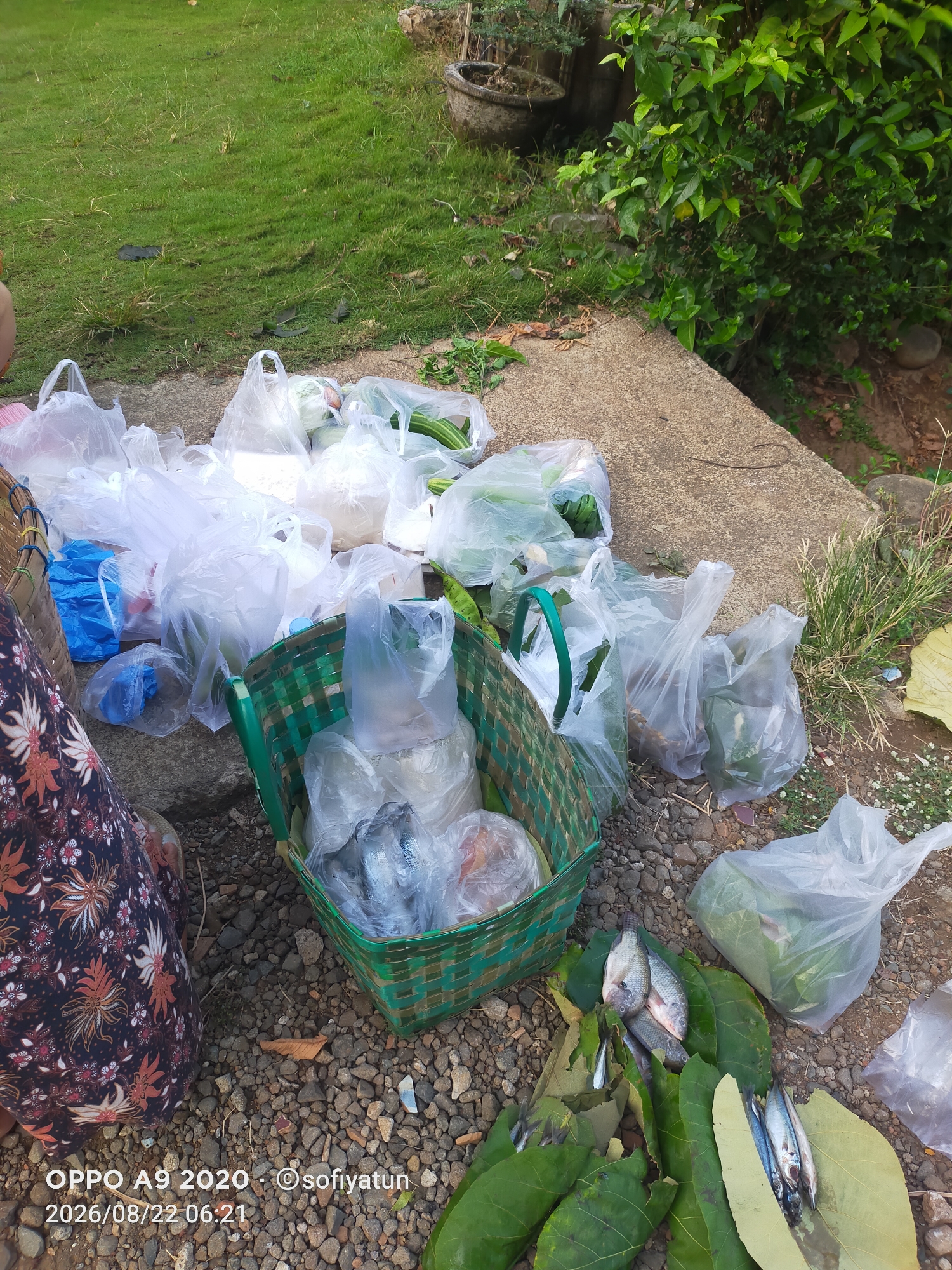 In Cluwak, Indonesia, an outdoor scene unfolds on a concrete slab and gravel ground adjacent to a grassy area and lush green foliage. The image showcases a collection of plastic bags filled with produce and other items, some of which are arranged around a green woven basket. Within the basket, various items are visible, including what appear to be small fish sealed in plastic. In front of the basket, a cluster of large green leaves serves as a base for several fresh fish, both whole and possibly cleaned. A person's patterned garment, primarily dark blue with orange and white floral motifs, is visible in the lower left corner, partially obscuring a woven basket on the left. The date stamp indicates "2026/08/22 06:21".