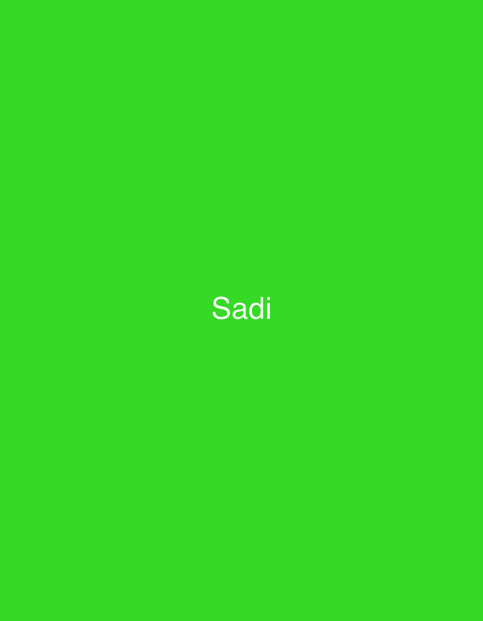 The image displays a solid, vibrant green background. Centered horizontally and vertically on this background is the word "Sadi," rendered in white sans-serif capital letters. The overall scene is minimalist, suggesting a digital graphic or a screen display, and is located in Casablanca, Morocco.