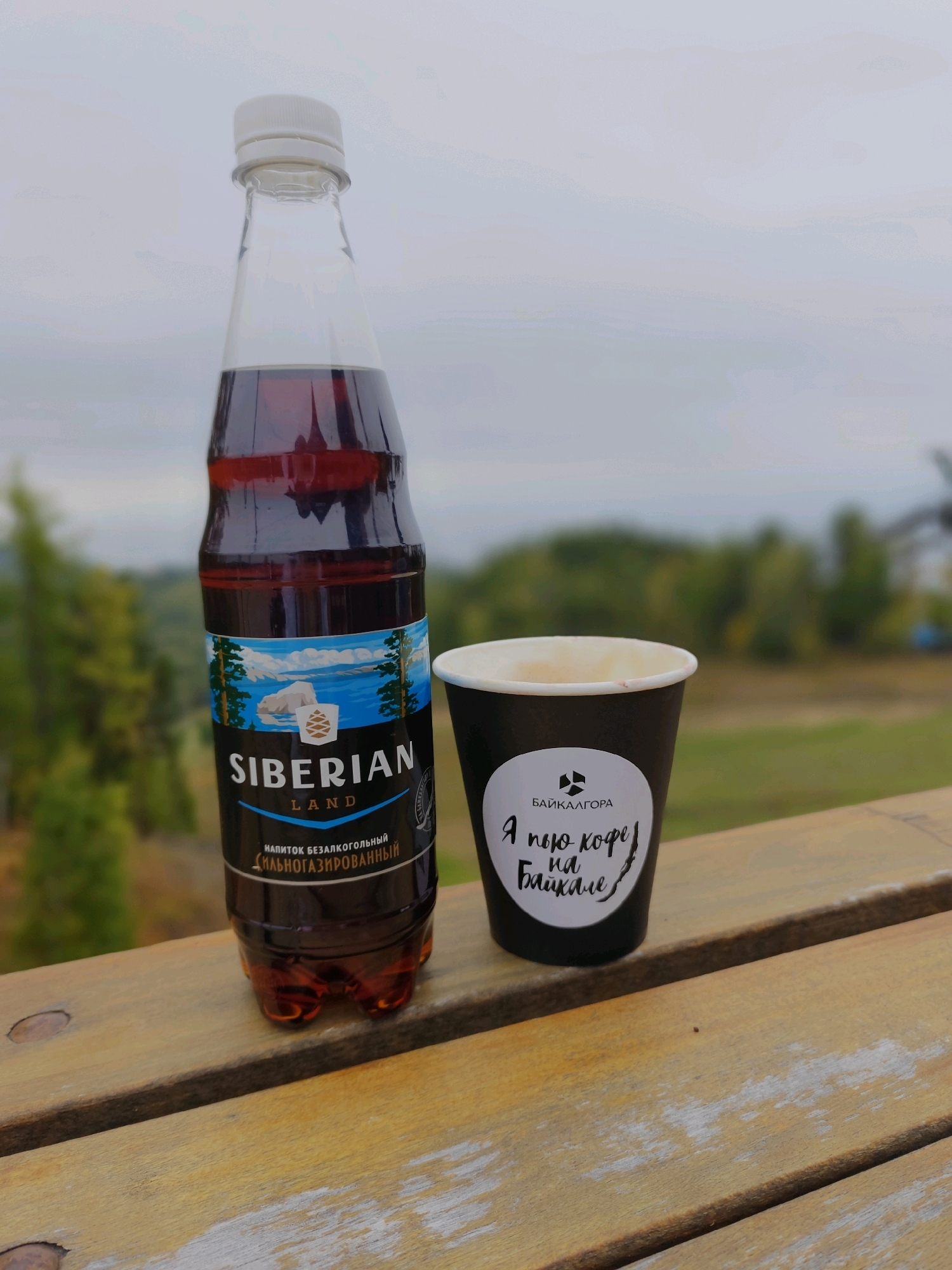 This image depicts a still life of a bottle of "Siberian Land" drink and a cup of coffee placed on a wooden table outdoors. The bottle, which is dark brown and partially filled with a reddish liquid, has a label featuring an image of trees and a snowy landscape. The cup, black with a white rim, has a label with text and a logo. The background shows blurred greenery and a cloudy sky, suggesting an outdoor setting possibly in a natural environment. There are no people visible in the image, and no specific landmarks of Nikola, Russia are identifiable.