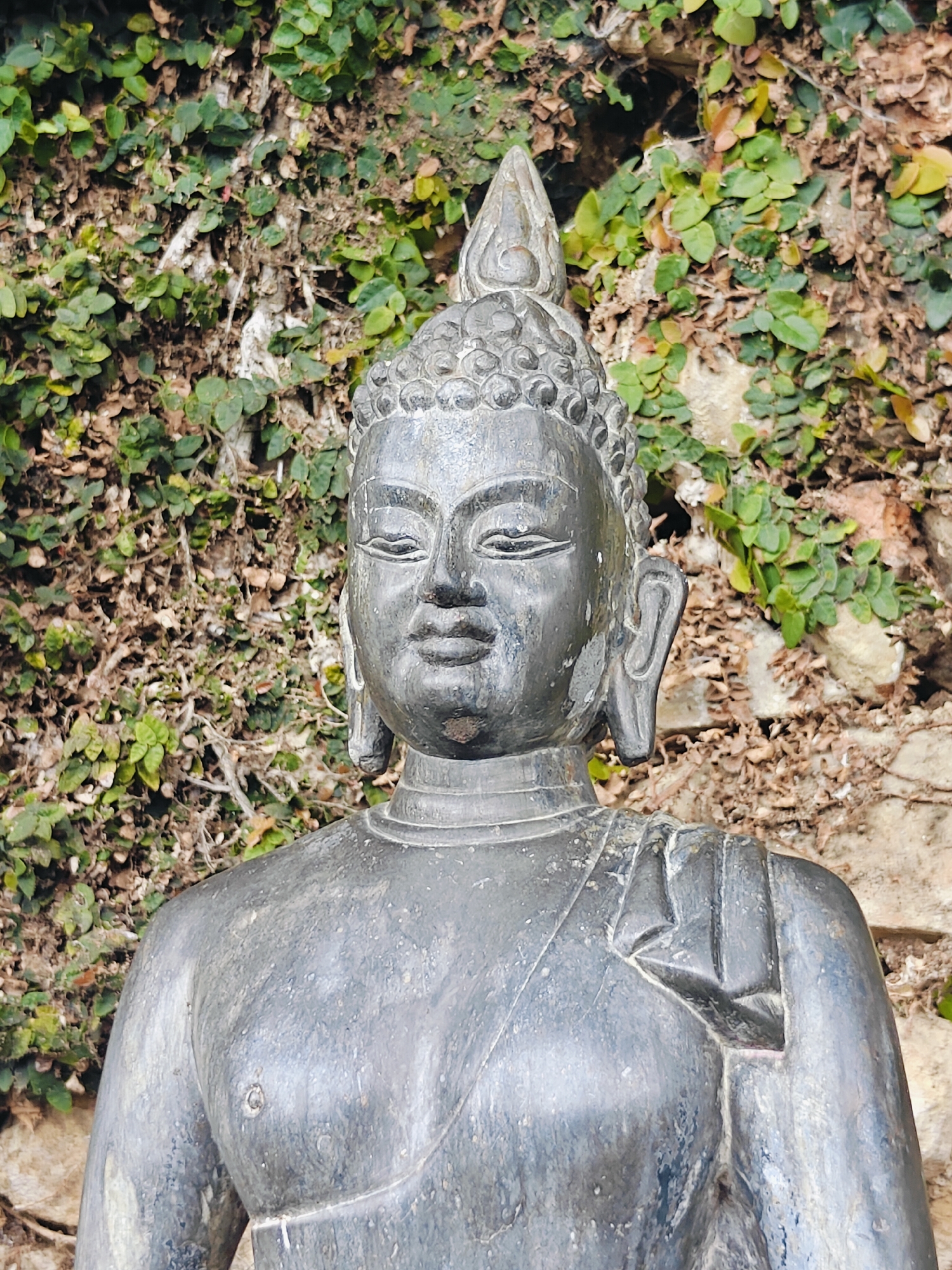A close-up, head-and-shoulders portrait of a dark stone statue of Buddha, positioned outdoors against a textured background of green ivy and brown rock. The statue depicts Buddha with closed eyes, serene expression, and elaborately curled hair topped with a pointed finial. The stone has a weathered appearance with visible patina and some lighter speckling. The statue is positioned slightly off-center to the right, with the left side of its face and body dominating the frame. The background features a dense covering of small, leathery green leaves interspersed with rough-hewn rocks and dry branches. The lighting suggests an overcast day, casting soft shadows. This statue is located at the entrance to a temple in Kirtipur, Nepal, a historic Newari city renowned for its preserved temples and cultural heritage.