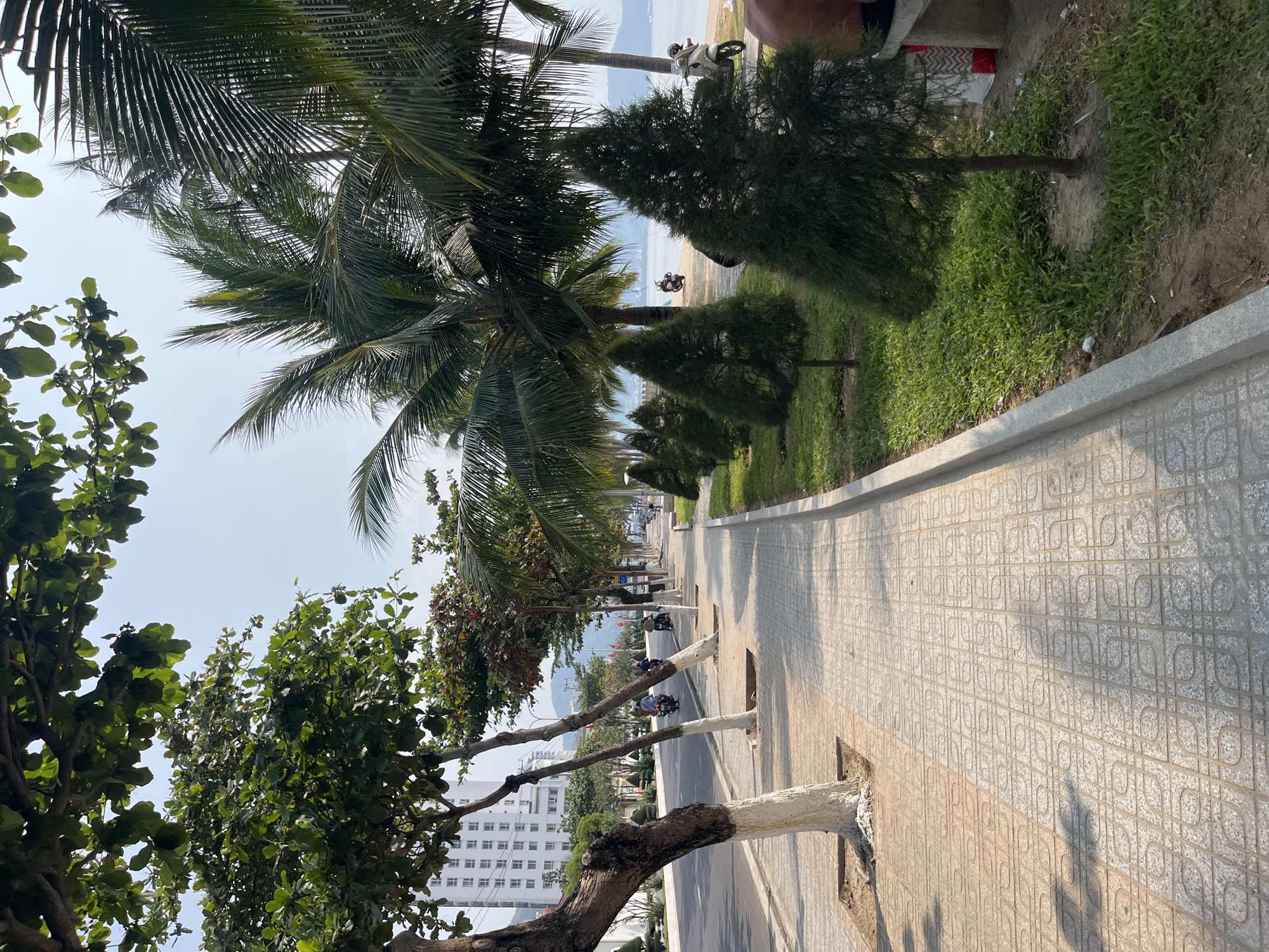 The scene depicts a sidewalk along a street in Bac Nha Trang Ward, Vietnam. The sidewalk is paved with grey patterned tiles and lined with trees. The trees have their lower trunks painted white. Beyond the trees is a road with light traffic, including motorbikes. In the distance, a beach is visible with people on the sand. A building is seen on the left, with multiple windows. The sky is light blue and slightly overcast.