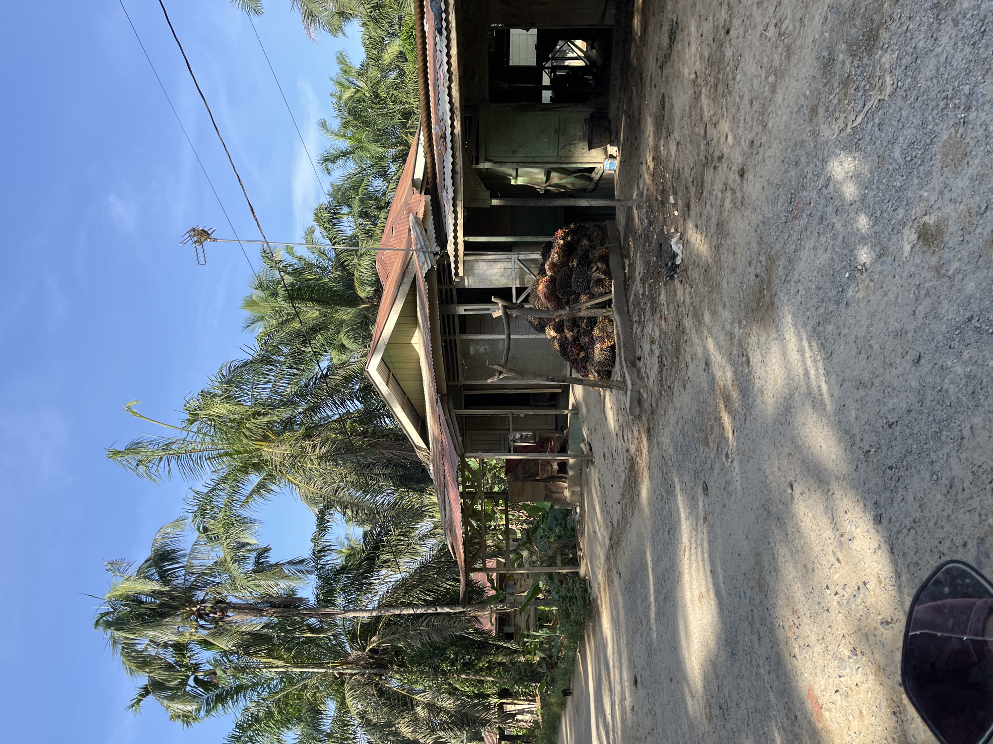 A rural road in the city of Durian, Indonesia, leads past a cluster of modest, weathered structures beneath a clear blue sky dotted with a few wispy clouds. Tall palm trees, characteristic of the tropical climate, tower over the scene, their fronds casting dappled shadows on the dusty ground. The buildings appear to be constructed from a combination of wood and corrugated metal, suggesting a functional, no-frills design. One of the structures has a large pile of harvested palm oil fruits in front of it, indicating agricultural activity. A simple antenna is visible on a pole, suggesting some form of communication. The overall impression is one of a working rural community, likely involved in agriculture, set against a backdrop of lush tropical vegetation. There are no people visible in the frame.