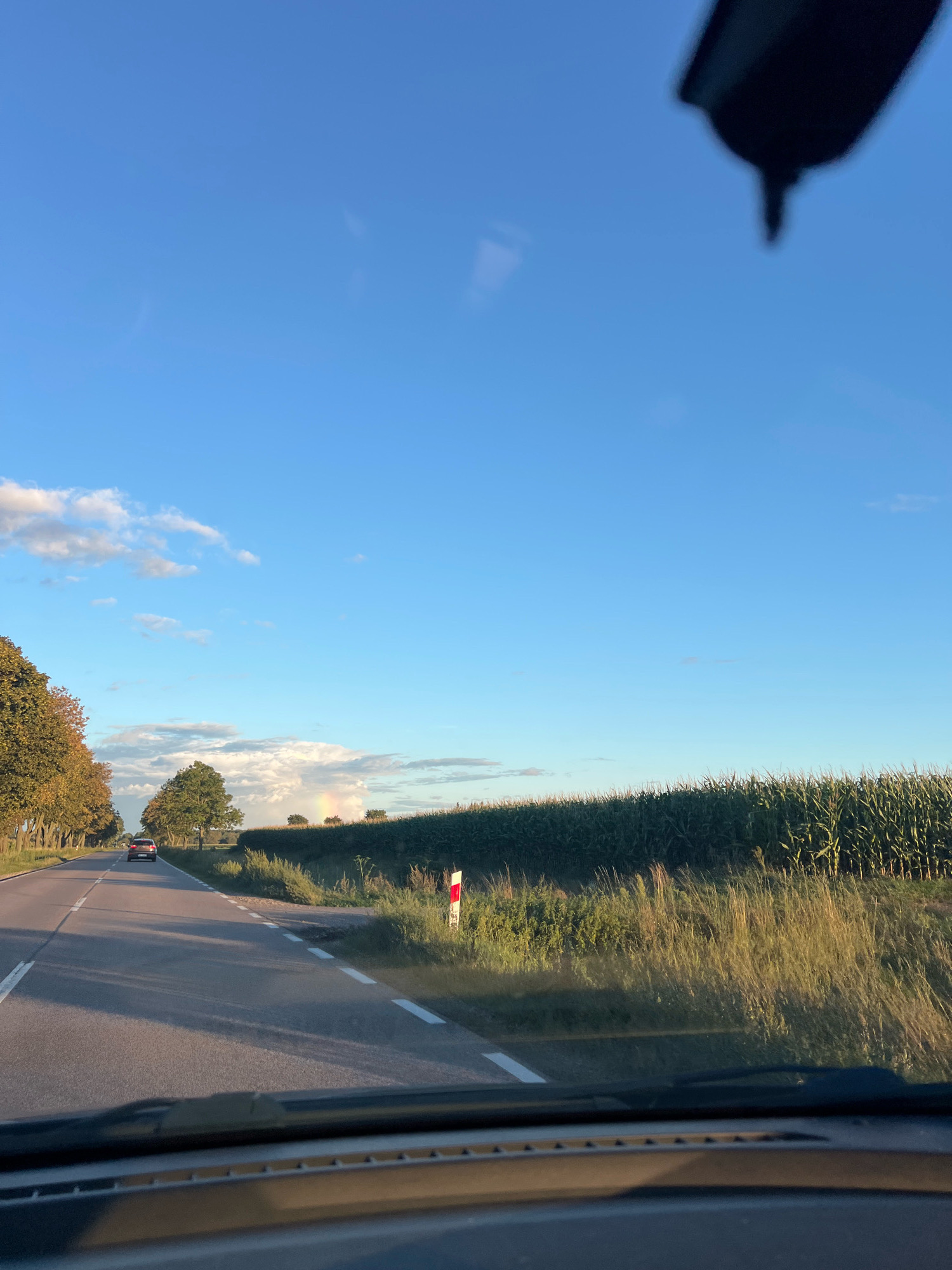 This image captures a view from inside a vehicle traveling on a road in the vicinity of Targonie Wielkie, Poland. The sky is a clear, bright blue with a few wispy clouds. A shadow, likely from the vehicle's interior or a sun visor, is visible in the upper right quadrant of the sky.
The road ahead is paved and marked with white lines, indicating lanes of travel. A single car is visible in the distance, moving away from the camera. To the left of the road, a line of trees with autumn foliage runs along the edge. To the right, a tall cornfield stretches along the side of the road, with dry grass and vegetation in the foreground. A red and white marker post, possibly a road sign or boundary marker, stands near the edge of the cornfield.
The overall impression is one of a rural landscape during daytime, possibly late afternoon given the shadows and light quality. The scene is devoid of any visible people.