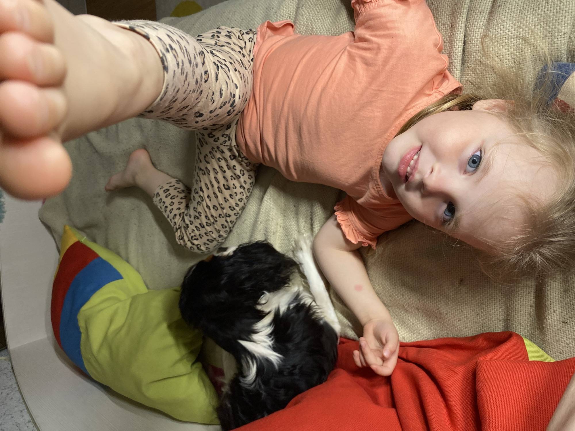 A young child with blonde hair and blue eyes is lying on a beige couch or cushion, smiling at the camera. The child is wearing an orange shirt with ruffled sleeves and animal-print leggings. A dog, black and white in color, is nestled beside the child, resting on a multi-colored pillow (green, yellow, red, blue). A red blanket is draped near the child and dog. The child's foot is visible in the upper left corner of the frame, suggesting the image was taken from a close overhead perspective. The environment appears to be an indoor setting, possibly a home. There is no information in the image to indicate the location is in the city of Votkinsk, Russia.