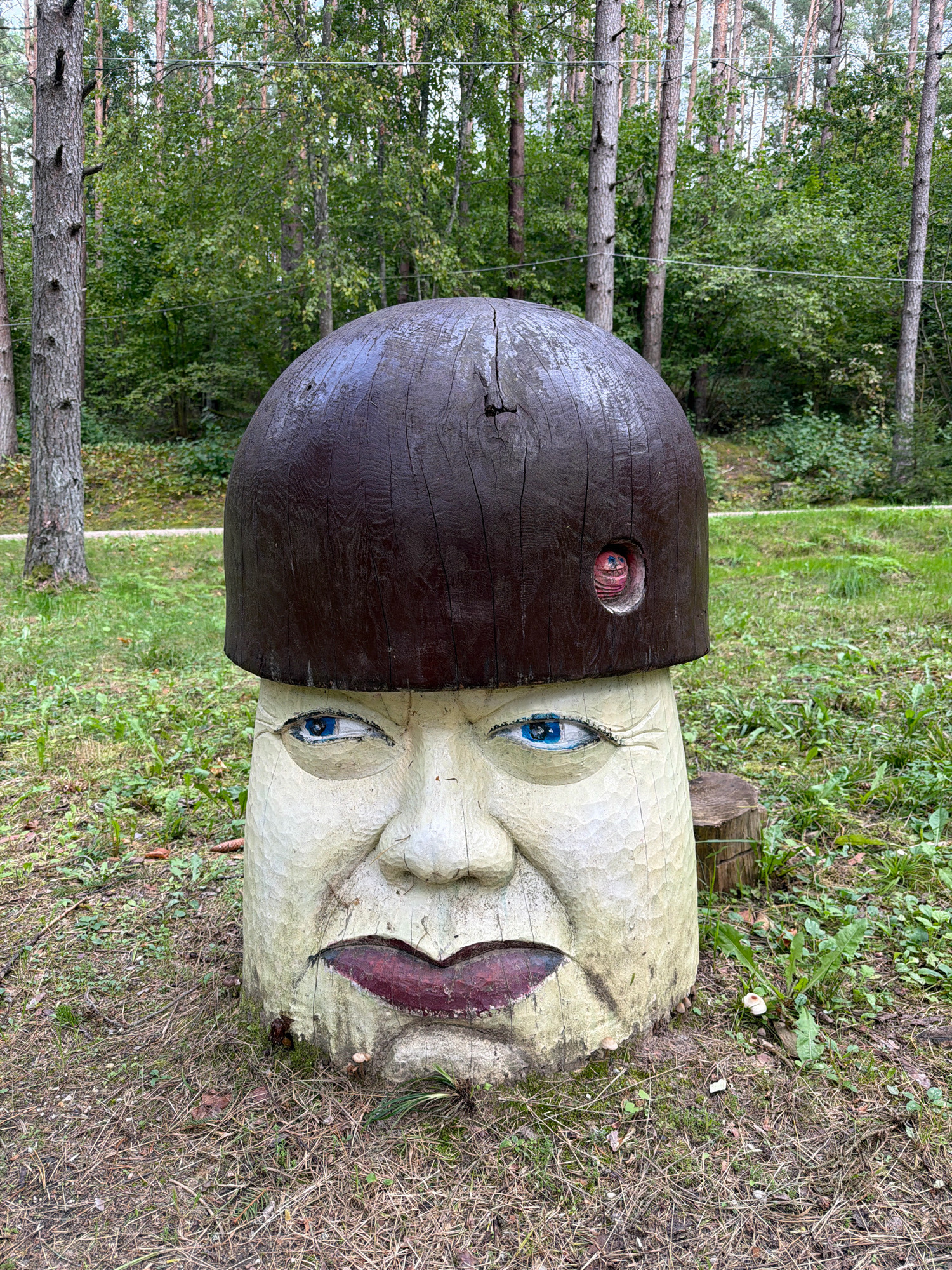In Tērvete, Latvia, a carved wooden mushroom sculpture stands in a forest clearing. The sculpture depicts a face with blue eyes, plump lips painted a deep red, and a weathered, textured surface. A dark brown, dome-shaped cap sits atop the head, with a small, circular opening on the right side revealing a pinkish, textured interior. The sculpture is positioned on the ground amidst dry leaves, pine needles, and patches of green grass. In the background, tall pine trees create a dense forest environment.