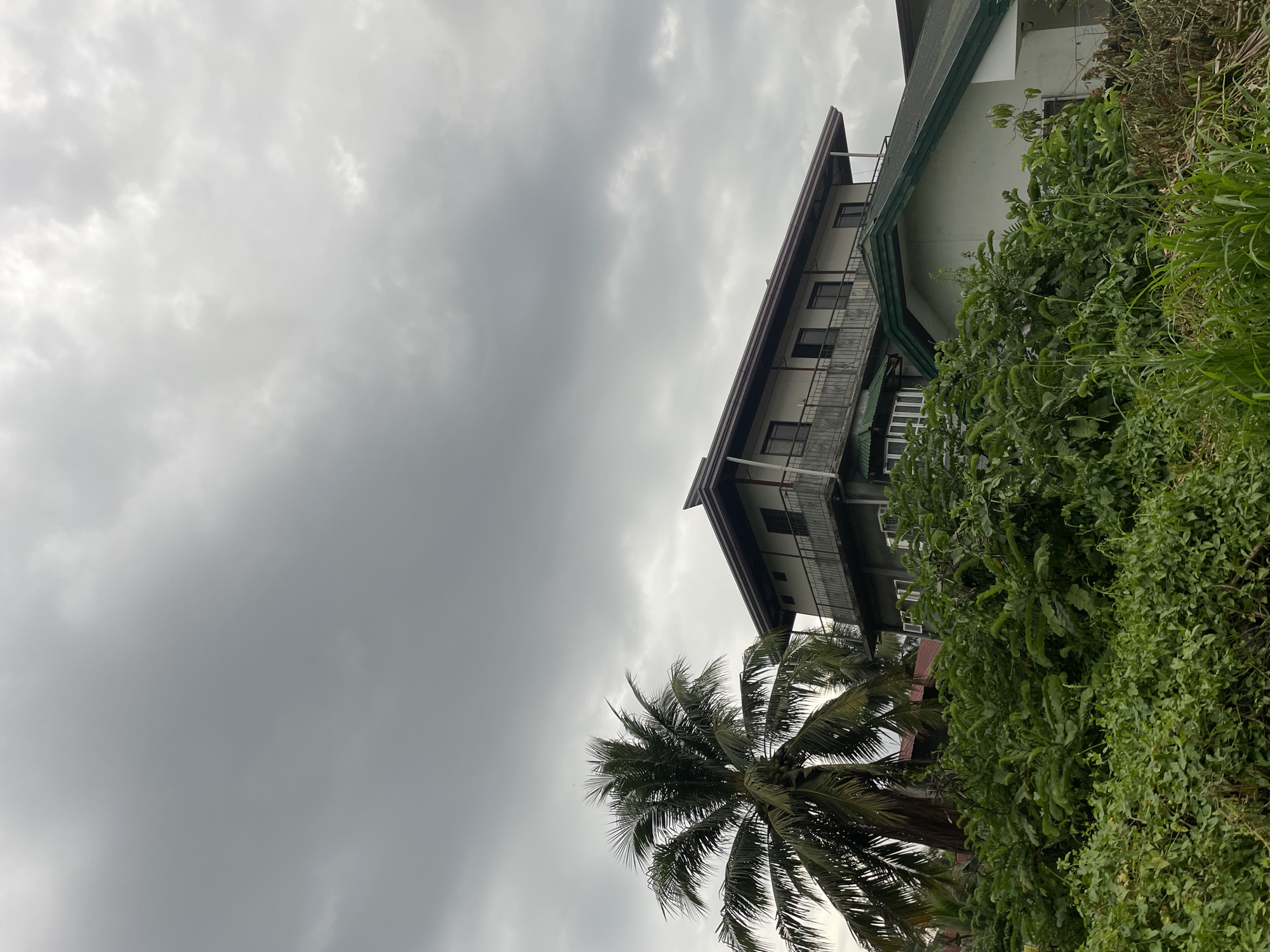 The image, captured in Davao City, Philippines, presents a vertical composition looking upwards towards a multi-story building and an overcast sky. The sky, filled with soft grey clouds, occupies a significant portion of the upper-left. A light-colored building, featuring multiple levels of dark-framed windows and balconies with decorative wrought-iron railings, extends diagonally across the middle and right side of the frame. Its dark-colored roofline is visible along the top edge.
Lush, dense green foliage, comprising various bushes and leafy plants, dominates the lower-right and bottom sections of the image, partially obscuring the lower part of the building. A prominent palm tree with large fronds is positioned in the lower-middle, its crown reaching upwards towards the building and sky. The overall lighting is diffused and soft, indicative of a heavily overcast or cloudy day. No people or activities are visible, creating a static scene that emphasizes the architectural structure and tropical vegetation. There is no visible text.