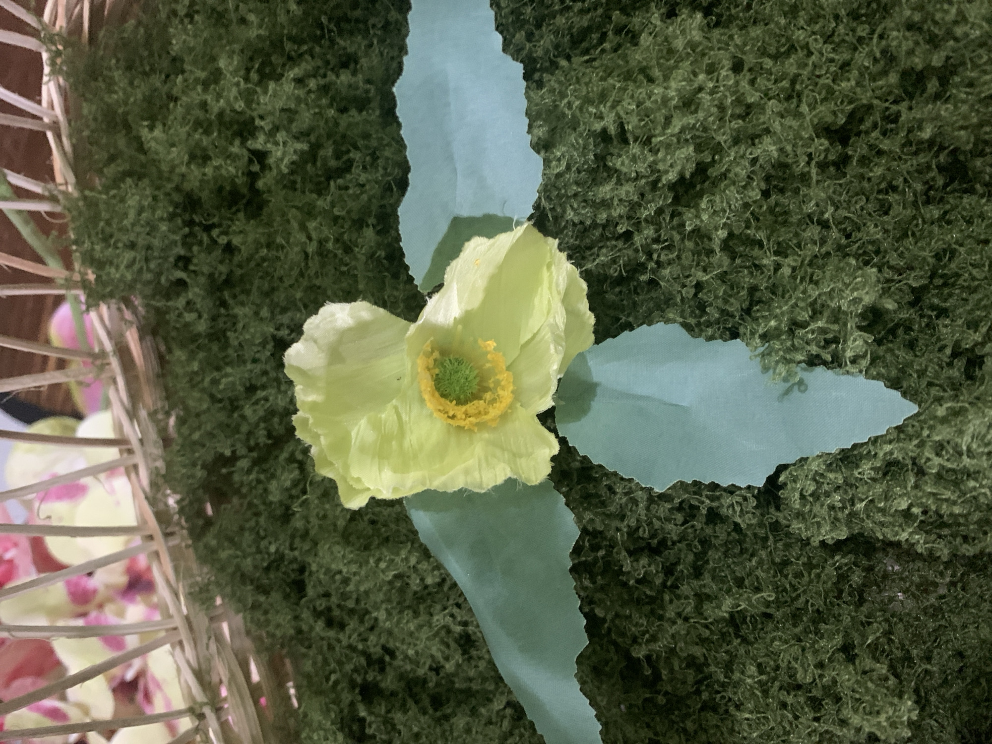 The image shows a close-up of a light green poppy with yellow and green stamens, placed on a bed of dark green artificial moss. Two strips of light blue fabric with torn edges are arranged like ribbons, one crossing horizontally behind the flower and the other extending downwards in front of it. In the background, out of focus, is the edge of a woven basket with hints of pink and yellow floral elements. The scene is brightly lit, casting subtle shadows. There is no indication of location within Kuala Pembuang, Indonesia.