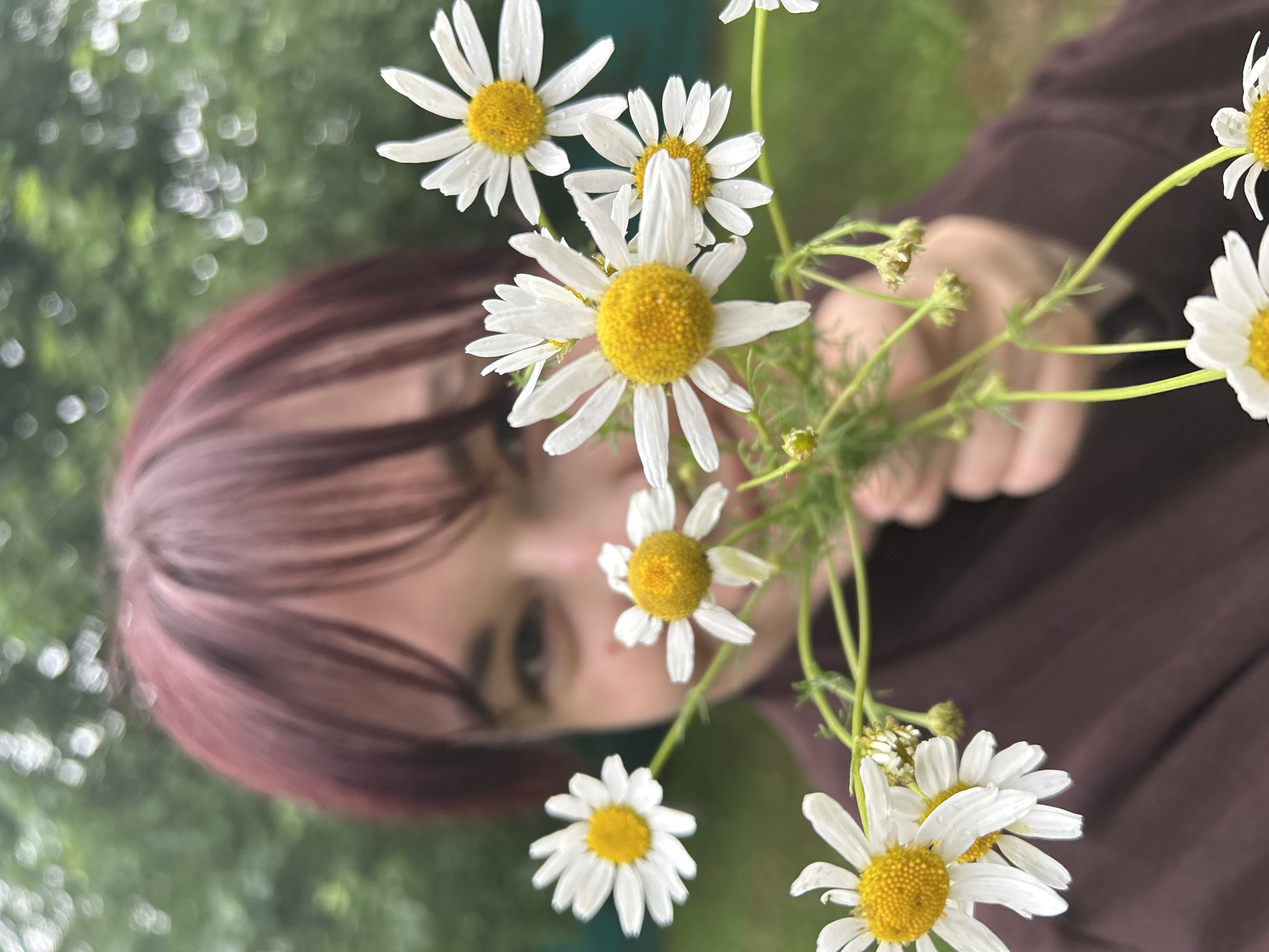 A close-up, slightly blurred outdoor shot features a person in the foreground, holding a bouquet of white daisies with yellow centers. The person's face is partially obscured by the flowers and out of focus, but their dark red hair with lighter streaks is visible. They are wearing a dark brown garment. The background consists of blurred green foliage, suggesting a natural setting. No specific location in the city of Fokino, Russia is discernible.