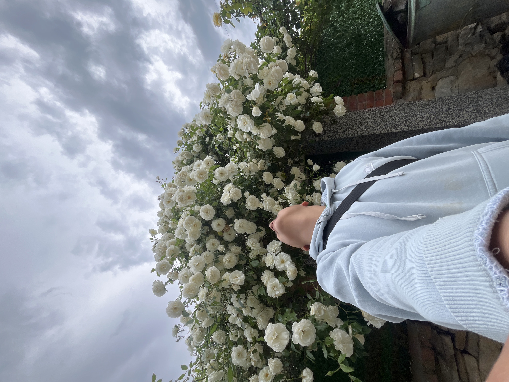 The image, taken outdoors under a cloudy sky, features a person standing near a large bush covered in white roses. The person is wearing a light blue hoodie and a black strap is visible across their chest. Their face is close to the roses, suggesting they may be smelling them. The roses are densely packed on the bush, and green foliage is visible beneath the blooms. The bush is positioned next to a low stone wall or ledge. The background includes additional greenery, possibly trees or bushes. The image is shot from a low angle, looking up at the roses and the sky. Location of Lozarevo, Bulgaria has not been verfied in this image.