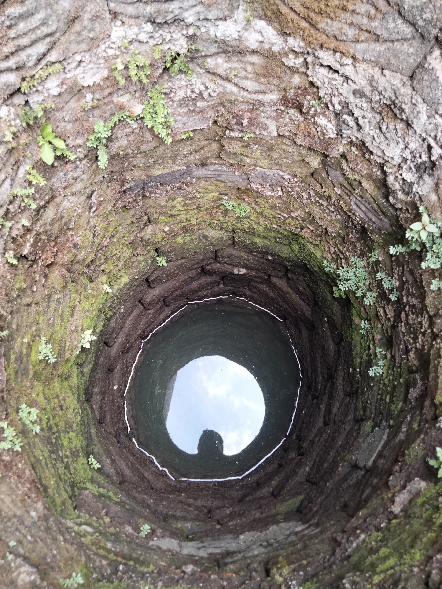 The image shows a close-up, top-down view of the inside of an old, stone well. The stone lining is rough and uneven, with patches of green moss and small plants growing on it. The well opens into a circular pool of dark water at the bottom. Reflected in the water, a blurred silhouette of a person holding a camera or phone is visible, suggesting the image was taken by someone looking down into the well. The texture of the stone and the presence of vegetation indicate age and likely exposure to the elements. The overall impression is one of an ancient, natural water source within a constructed structure. This well is located in the city of Cariu, Indonesia.