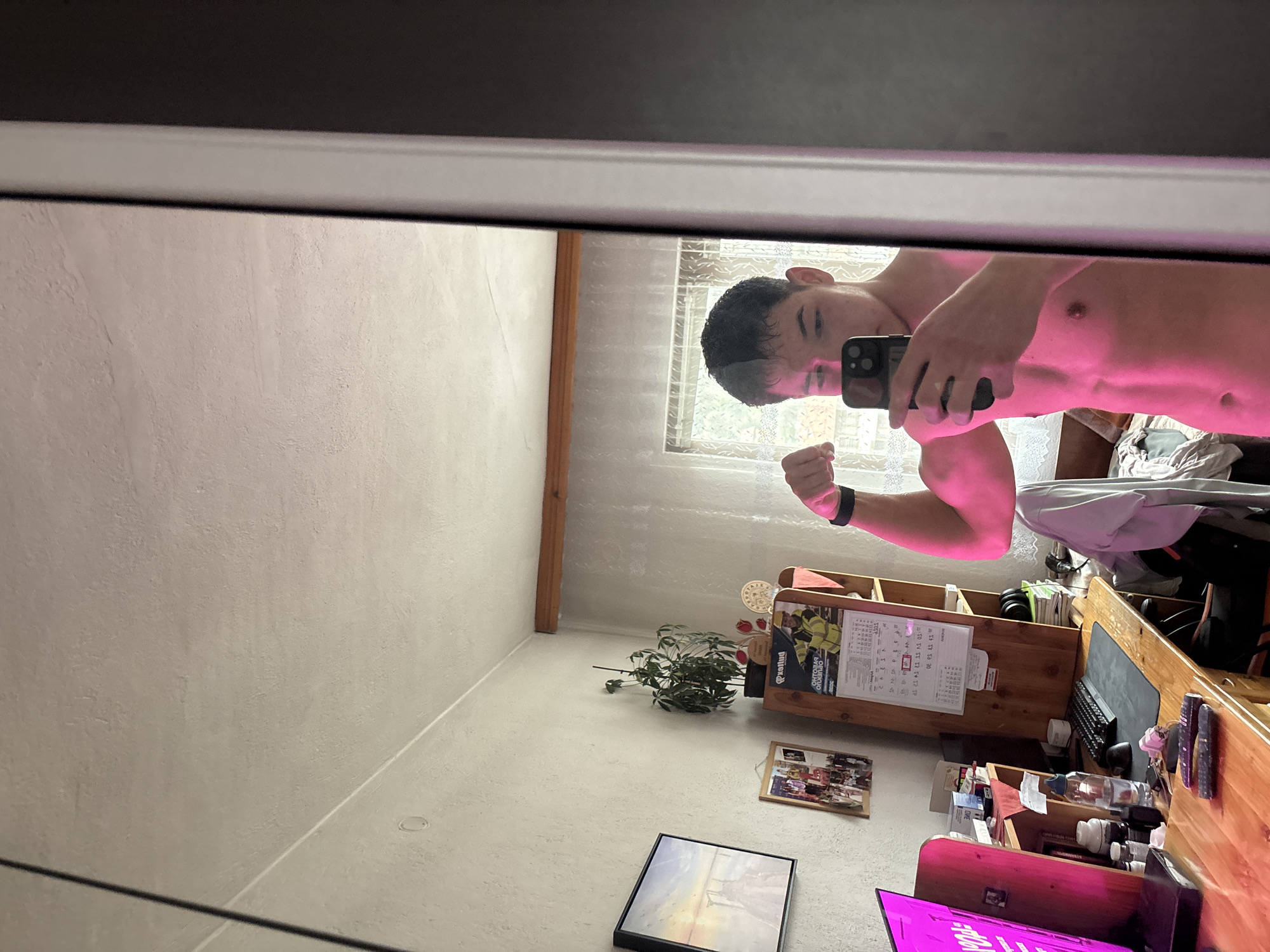 The image captures a mirror selfie of a young man indoors. The shirtless man, with short dark hair, is seen flexing his left bicep while holding a black smartphone to take the picture. His upper body is illuminated with a strong pinkish light, possibly from an artificial source within the room.
The reflection reveals a personal room, likely a bedroom or home office, furnished with wooden elements. A window covered with sheer, light-colored curtains is visible in the background, admitting some diffuse natural light. To the right of the image, a wooden desk or shelving unit is cluttered with various items, including a computer keyboard, a mouse, a water bottle, and small containers. A calendar hangs on the wall above this unit.
Notable details include a potted plant on a lower shelf and several framed pictures or artworks placed around the room. On the calendar, text in Bulgarian is visible, specifically "ОНТОЛОГИЯ", "ОБЩИНА", and "ЗЛАТОГРАД", confirming the location of Zlatograd, Bulgaria. Days of the week and numerical dates are also discernable. In the lower right corner, a screen emits a bright pink light, with partial text "ЕРОН" or similar visible on its display. The scene portrays a casual, self-portrait moment within a lived-in space.