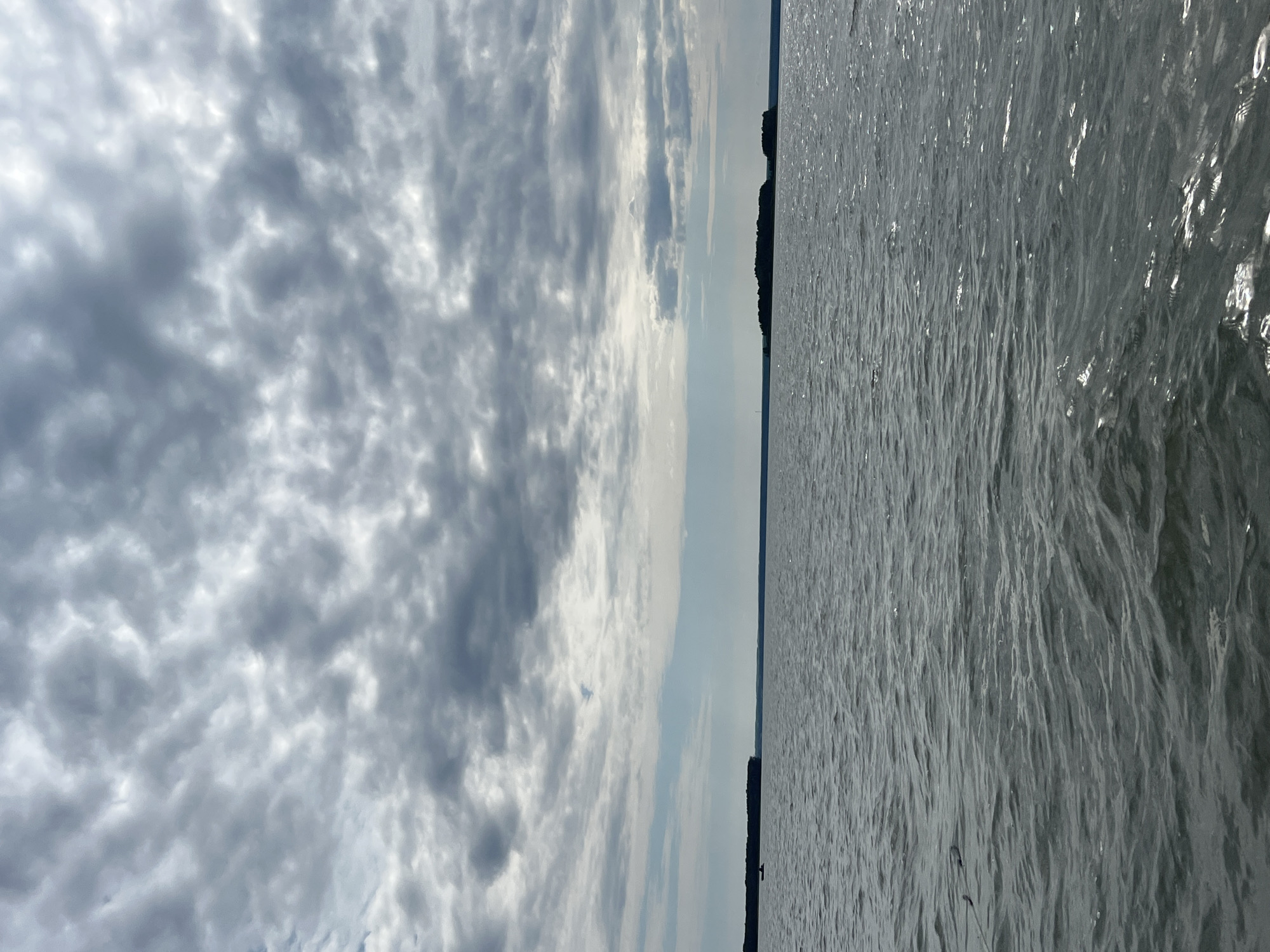 The image shows a wide, choppy body of water under a cloudy sky. In the distance, on the left side of the frame, is a dark, tree-lined landmass. A small boat with one person is visible near this landmass. Further to the right, a small island, also covered in trees, is visible in the distance. The water reflects the overcast sky, creating a dark and somewhat textured surface. The scene is serene and natural, with no visible signs of urban development. The location is identified as Novopichugovo, Russia, suggesting this is a natural body of water such as a lake or river in that region.