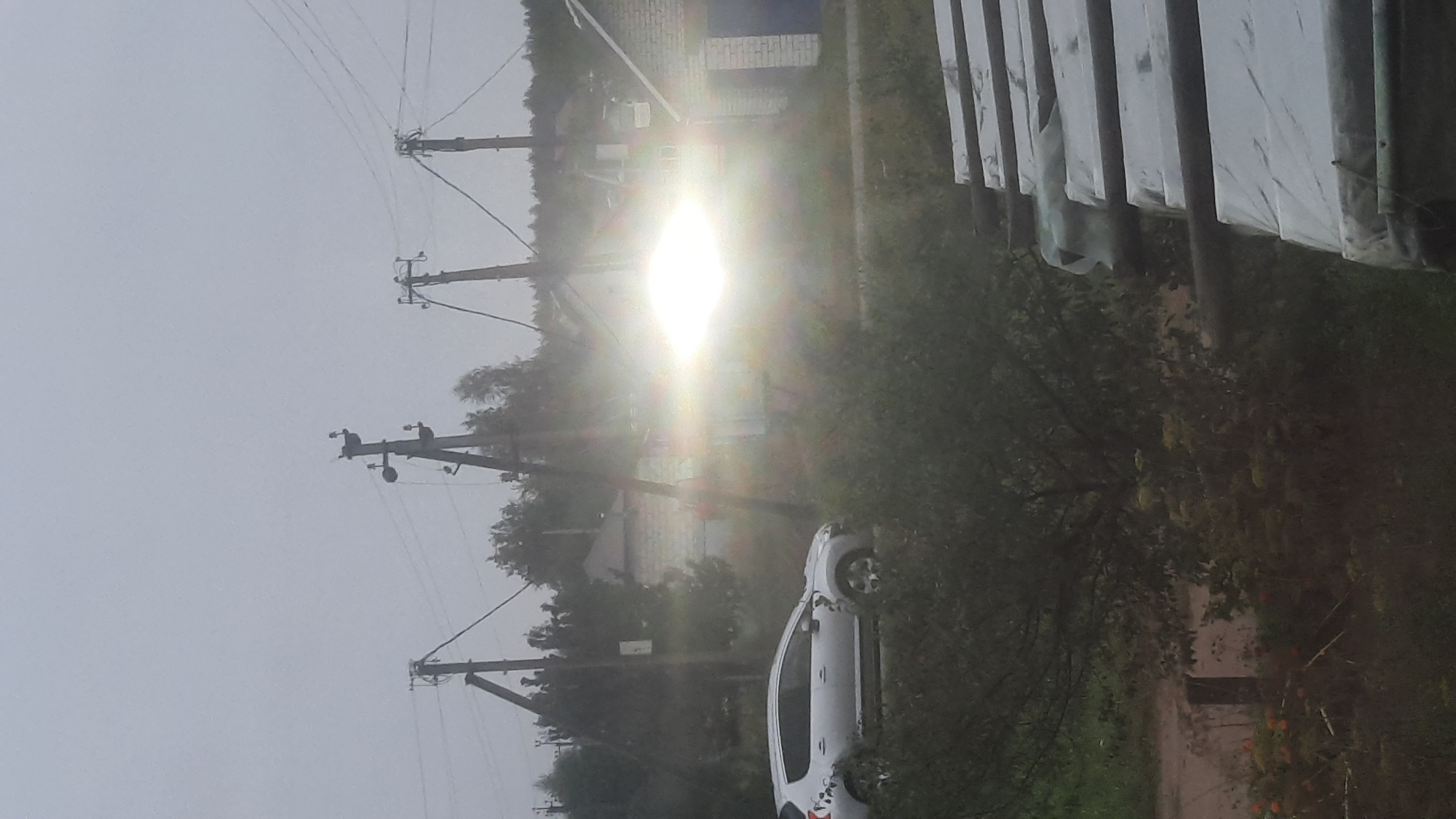 The image depicts a rural or suburban scene in Shklov, Belarus, on an overcast day. In the foreground, a silver hatchback car is parked to the left, its side visible. Beyond the car, a bright, intense light source, possibly headlights or a powerful outdoor lamp, is emanating from the center-right of the frame, obscuring details of the structures and vegetation behind it. Several utility poles with overhead wires are scattered throughout the scene, silhouetted against the bright light and the hazy sky. In the background, there are glimpses of low-rise buildings constructed with brick, some with visible rooflines and a garage-like opening. The vegetation appears dense, with trees and bushes partially obscuring the buildings and the ground. The overall impression is one of a slightly disheveled, everyday setting under a diffused, possibly damp, sky.