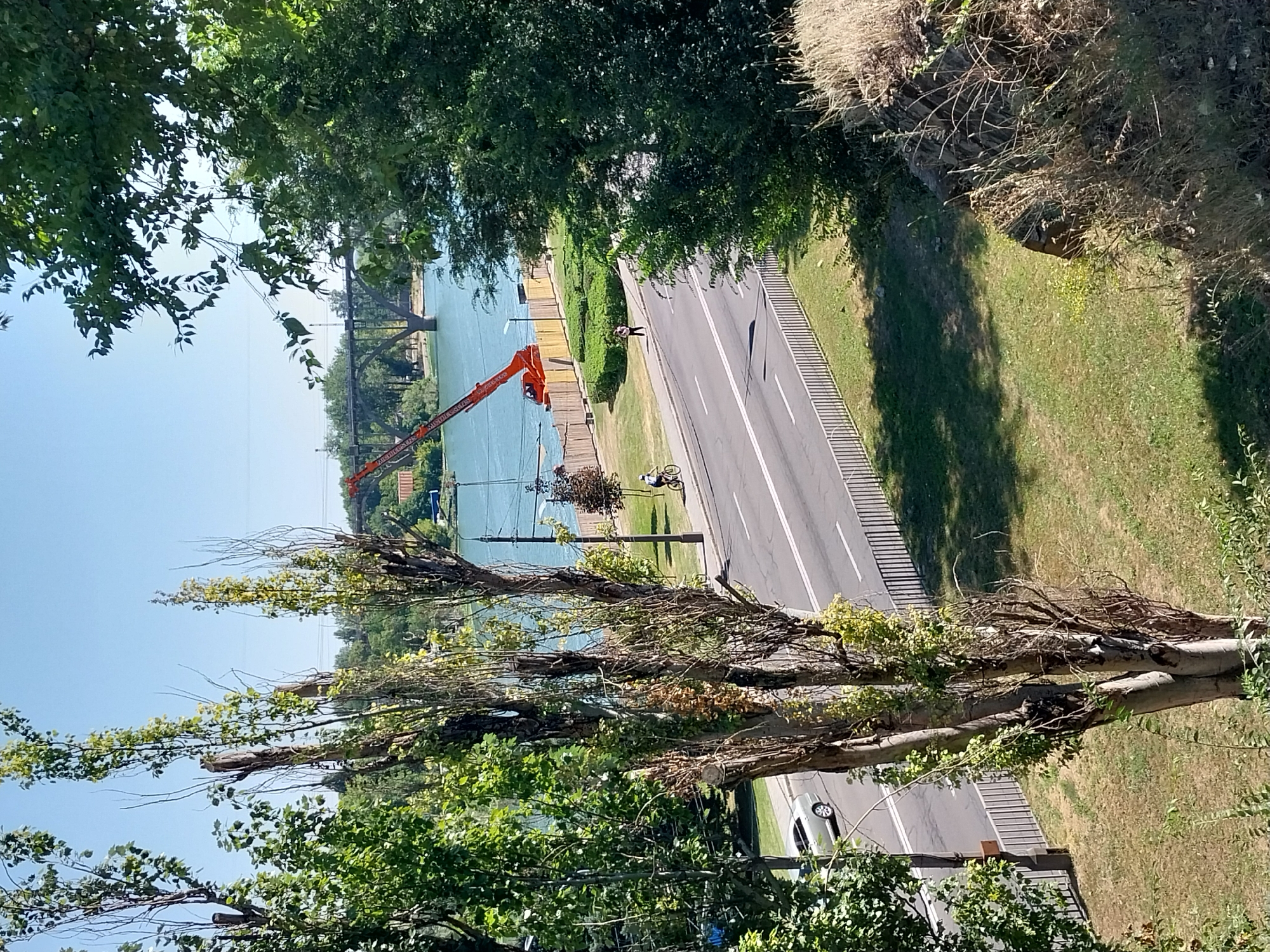 The image shows a view of the Dnipro River in Dnipro, Ukraine, on a clear sunny day. In the foreground, several trees with sparse foliage are prominent. A road runs alongside the river, with a silver car on the left lane and a person on a bicycle on the right lane. Further down the road, another person is standing. The river itself is blue and calm, with a bridge visible in the distance. An orange crane is positioned near the riverbank, suggesting construction or repair work. The area is landscaped with green grass and some bushes. A rocky embankment covered with dry grass is visible in the lower right corner.