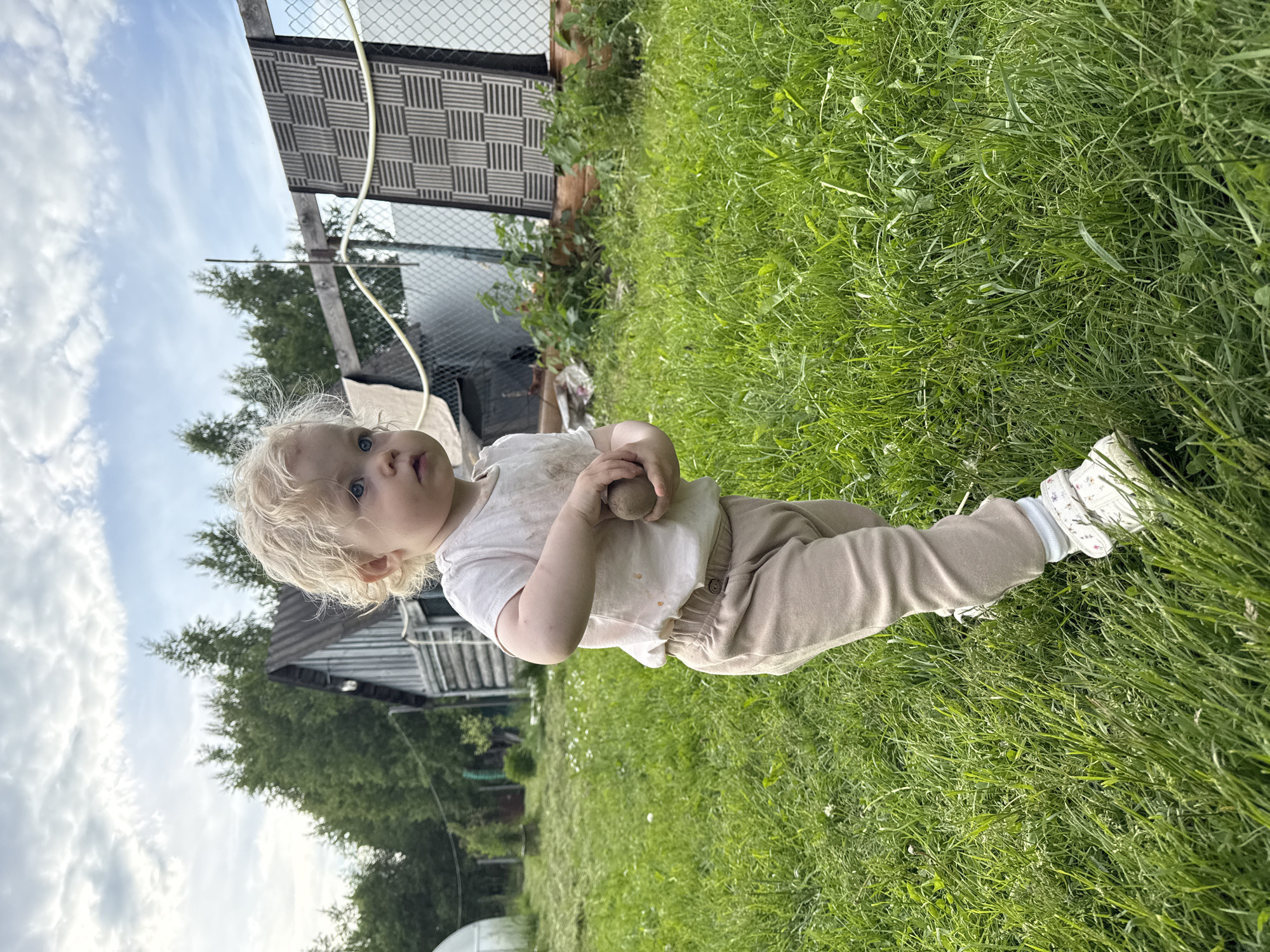 An infant with light blonde, curly hair and blue eyes stands upright on a vibrant green lawn. The child is dressed in a light-colored t-shirt and beige pants, with white sneakers and light blue socks. They are holding a small, round, brown object, possibly a potato or a stone, in both hands near their chest.
The scene is outdoors, set in what appears to be a rural or suburban backyard or garden. Lush green grass fills the foreground and midground, with some wildflowers scattered within. In the background, there's a light-colored wire fence or trellis structure, part of a wooden building with a dark roof, and several trees with green foliage. The sky is visible above, featuring scattered white clouds against a pale blue sky, suggesting daytime on a pleasant day.
The child is looking slightly upwards and towards the viewer with an inquisitive expression. There is no visible text in the image. The overall impression is one of a curious toddler exploring an outdoor environment. Given the location context of Красный Маяк, Russia, it suggests a scene from a village or dacha setting.