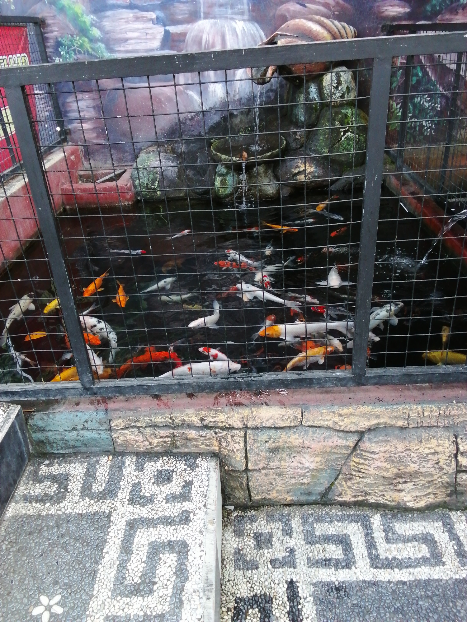 The image depicts an outdoor koi pond enclosed by a black metal fence. The pond is filled with numerous koi fish of various colors, including white, orange, red, and black. Some of the koi are clearly visible swimming near the surface, while others are deeper in the murky water. The pond appears to be part of a decorative garden or park setting, with a painted mural of a waterfall and rocks forming the backdrop. In the foreground, a pathway constructed from small grey and white pebbles with a geometric pattern is visible. The overall scene suggests a public or private recreational area. The specific location in the city of Kebonsari, Indonesia, is not discernible from the visual information provided in the image.