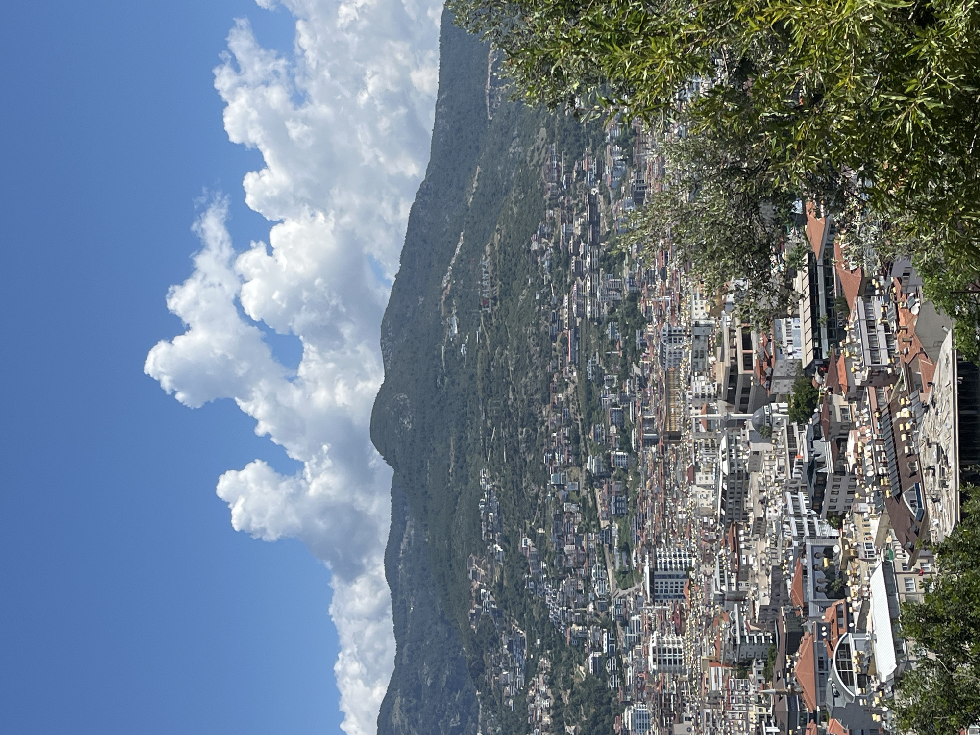 The image presents a cityscape, likely Alanya, Turkey, viewed from an elevated vantage point. The sky is blue with voluminous white clouds on the left side of the image. The city sits at the base of a mountain, which is covered with trees and vegetation. Buildings in the city are densely packed together with a mix of architectural styles. Some buildings have terracotta-colored roofs. A cluster of tree branches are visible in the upper right corner. The city extends up the lower slopes of the mountain.