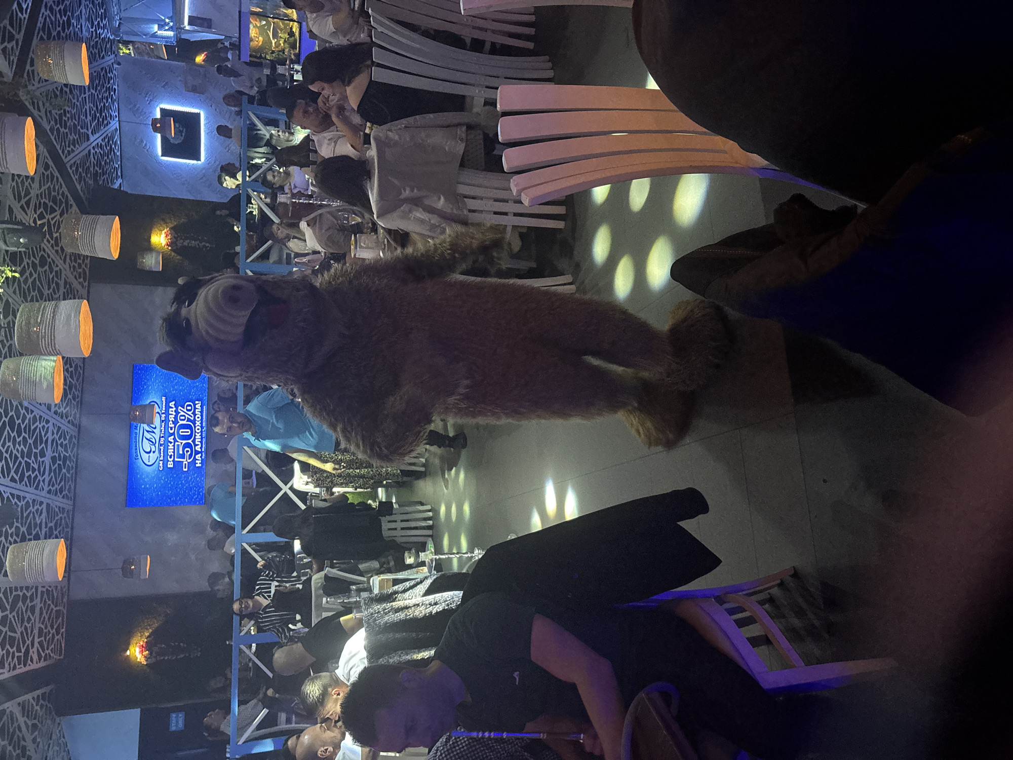 The image depicts a lively night scene inside a lounge, bar, or club, likely located in Plovdiv, Bulgaria. The central subject is a person dressed in a large, furry, brown costume, strongly resembling the character ALF, standing upright and moving through the establishment.
The scene is populated by numerous patrons seated at tables with white, slatted chairs. Many tables feature hookahs, indicating a shisha lounge environment. People are engaged in social interaction, some holding hookah hoses.
The setting is characterized by its dynamic and modern lighting. Warm orange light emanates from several cylindrical, lantern-like fixtures hanging along a decorative wall with a geometric lattice pattern on the left. A square, glowing light fixture is visible on a distant wall. The floor is illuminated by circular spotlights, casting bright white patterns. The general ambient light is a mix of cool blue and purple tones, creating a club-like atmosphere.
A prominent feature is a large, brightly lit screen in the background displaying text in Bulgarian. The text reads: "Голямата GM band, DJ Tisho, Dj Tenoff ВСЯКА СРЯДА -50% НА АЛКОХОЛА!", which translates to "The Big GM band, DJ Tisho, Dj Tenoff EVERY WEDNESDAY -50% ON ALCOHOL!". This suggests a promotional event on Wednesdays, featuring music and discounted drinks. The overall mood appears relaxed and social, typical of an evening entertainment venue.