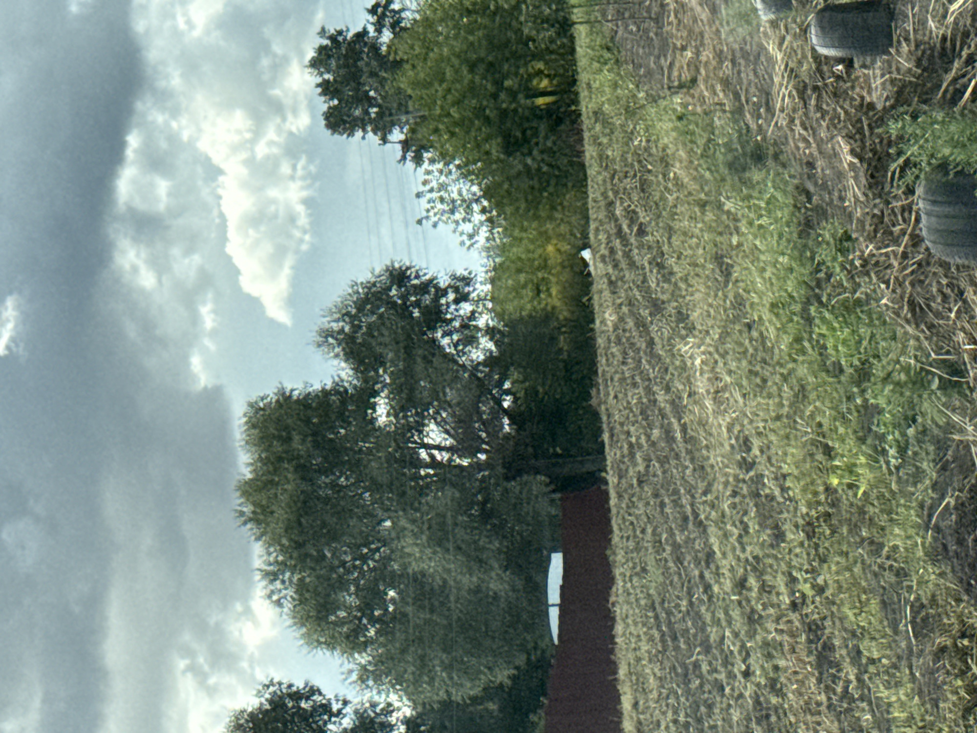 The image shows a field with dry grass and some scattered debris. In the background, there are trees and a red fence. The sky is overcast with grey clouds. There are also two tractor tires visible in the foreground on the right side of the image. The scene appears to be rural and potentially agricultural.
