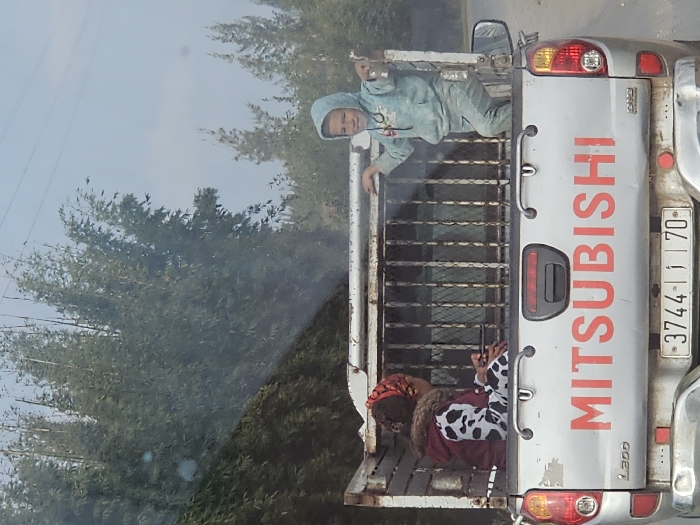 The image depicts the rear view of a silver Mitsubishi L200 pickup truck on a road in the city of Ameur عامر, Morocco. The truck's tailgate prominently displays "MITSUBISHI" in red lettering and a Moroccan license plate reading "3744 | 1 | 70". The truck bed is equipped with a metal cage structure.
Inside the caged bed, two individuals are present. On the left, an adult individual is seated on the bed floor, facing away from the viewer. This individual wears a patterned head covering, a dark jacket with a fur collar, and a white and black cow-print long-sleeved top. On the right, a young child stands, leaning against the metal cage and smiling towards the camera. The child is dressed in a light blue hooded tracksuit and holds a small, dark object in their right hand.
The background consists of dense green foliage, specifically tall, slender trees, under a clear light blue sky, indicating an outdoor, vegetated environment.