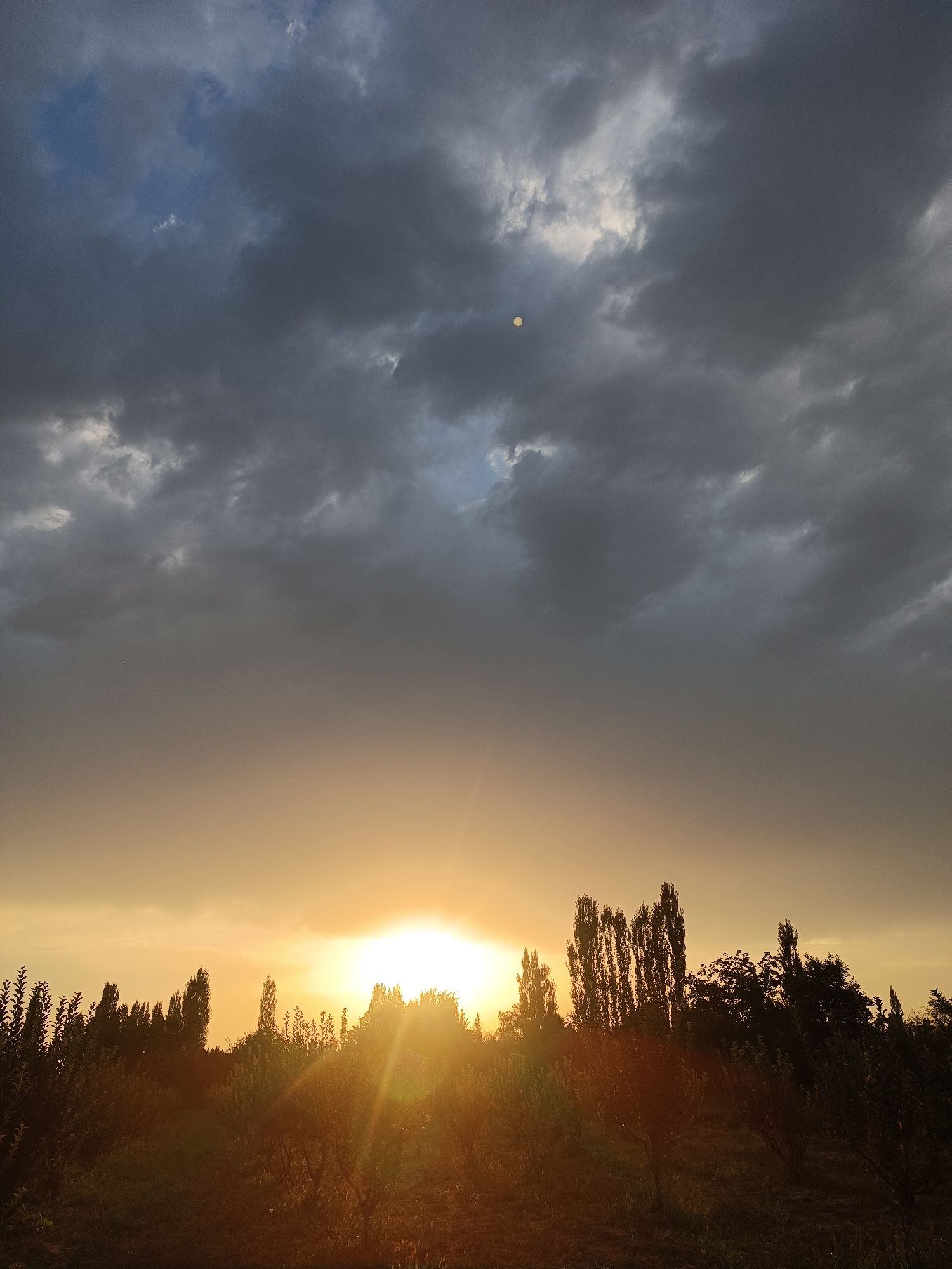 The image captures a dramatic sky over a rural landscape, likely near Myrza-Ake, Kyrgyzstan. Dark, heavy clouds dominate the upper half of the frame, with breaks revealing patches of lighter sky and a small, pale circle that could be the moon or a distant sun obscured by the clouds. The lower half of the image is illuminated by the warm, golden light of a sunset or sunrise. Sunbeams radiate outward from a bright point just above the horizon, casting a golden hue across the scene. A silhouette of trees and vegetation lines the horizon, with some appearing as tall, slender figures. The ground is covered in what appears to be vegetation, possibly crops or an orchard, with some areas in shadow and others illuminated by the sun's rays. The overall impression is one of natural beauty and dramatic atmospheric conditions.