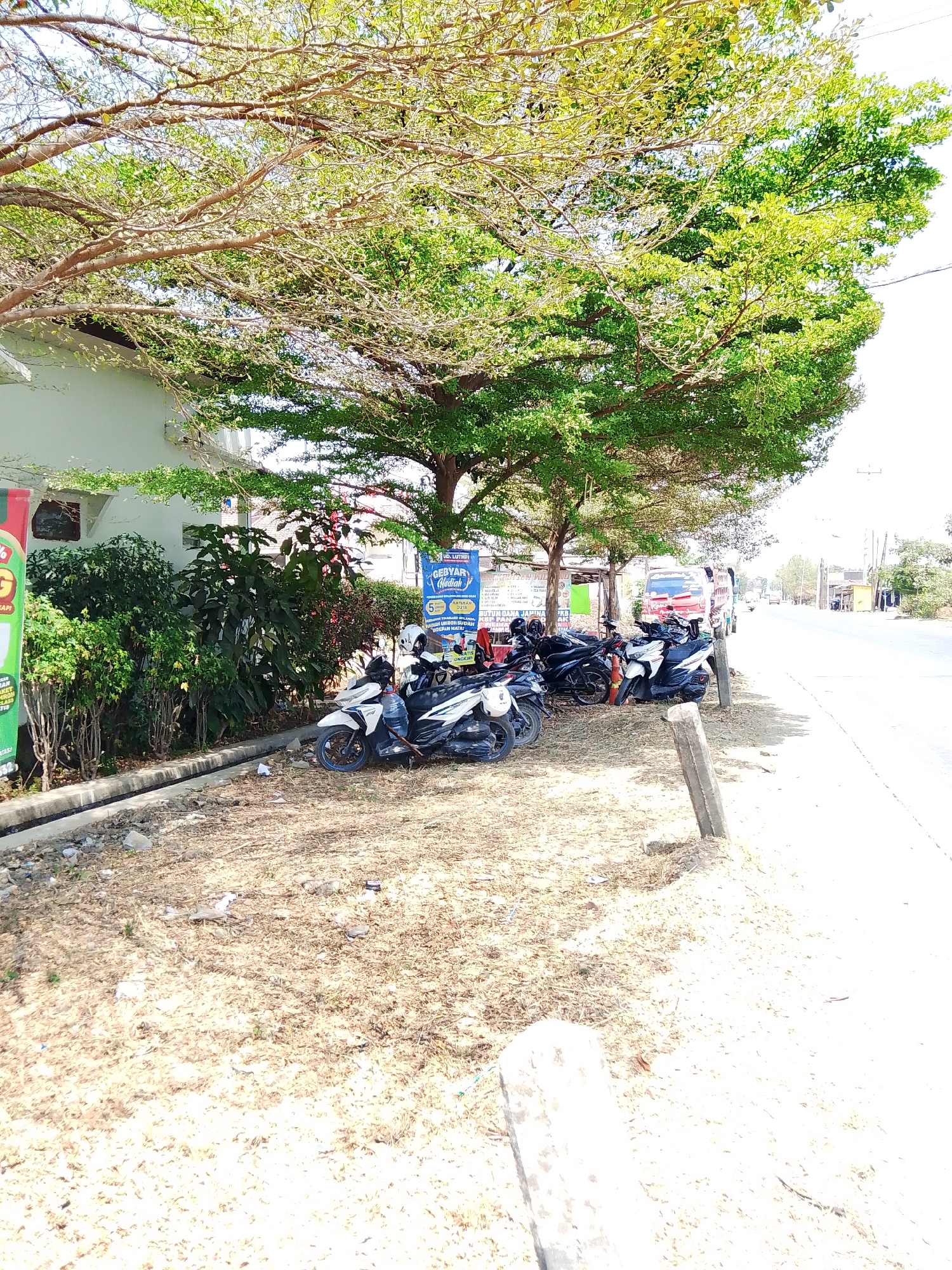 This is a medium-shot photograph taken outdoors in what appears to be the city of Bengkalis, Indonesia. The scene depicts a roadside area with several motorcycles parked under the shade of a large tree with green foliage. In the background, a white building is visible to the left, and a road with a few vehicles is seen to the right. The ground is covered with dry leaves and debris. A wooden post stands in the foreground to the right. A blue banner with text is also visible hanging on a stand in front of the parked motorcycles. The lighting suggests it is a sunny day.