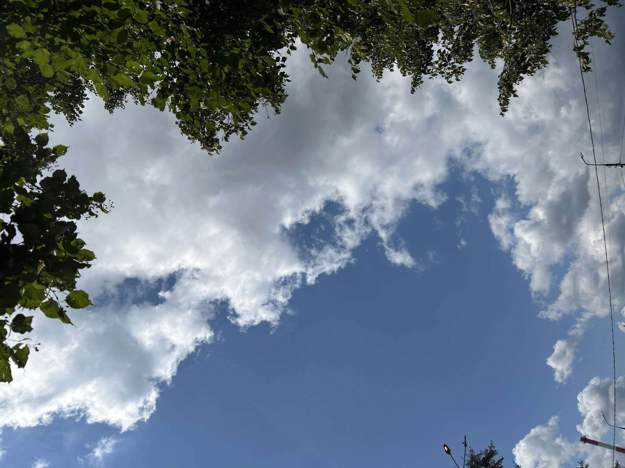 The image shows a bright blue sky with scattered white clouds. Green tree leaves frame the top and right side of the image, with some leaves obscuring parts of the sky. In the lower left, a portion of a street lamp is visible, along with what appears to be the top of a red and white striped industrial structure. In the lower portion of the image, more street lamps and power lines are visible against the sky. This scene is consistent with an outdoor setting in Zelenograd, Russia, likely during daylight hours given the brightness of the sky and visible sunlight.