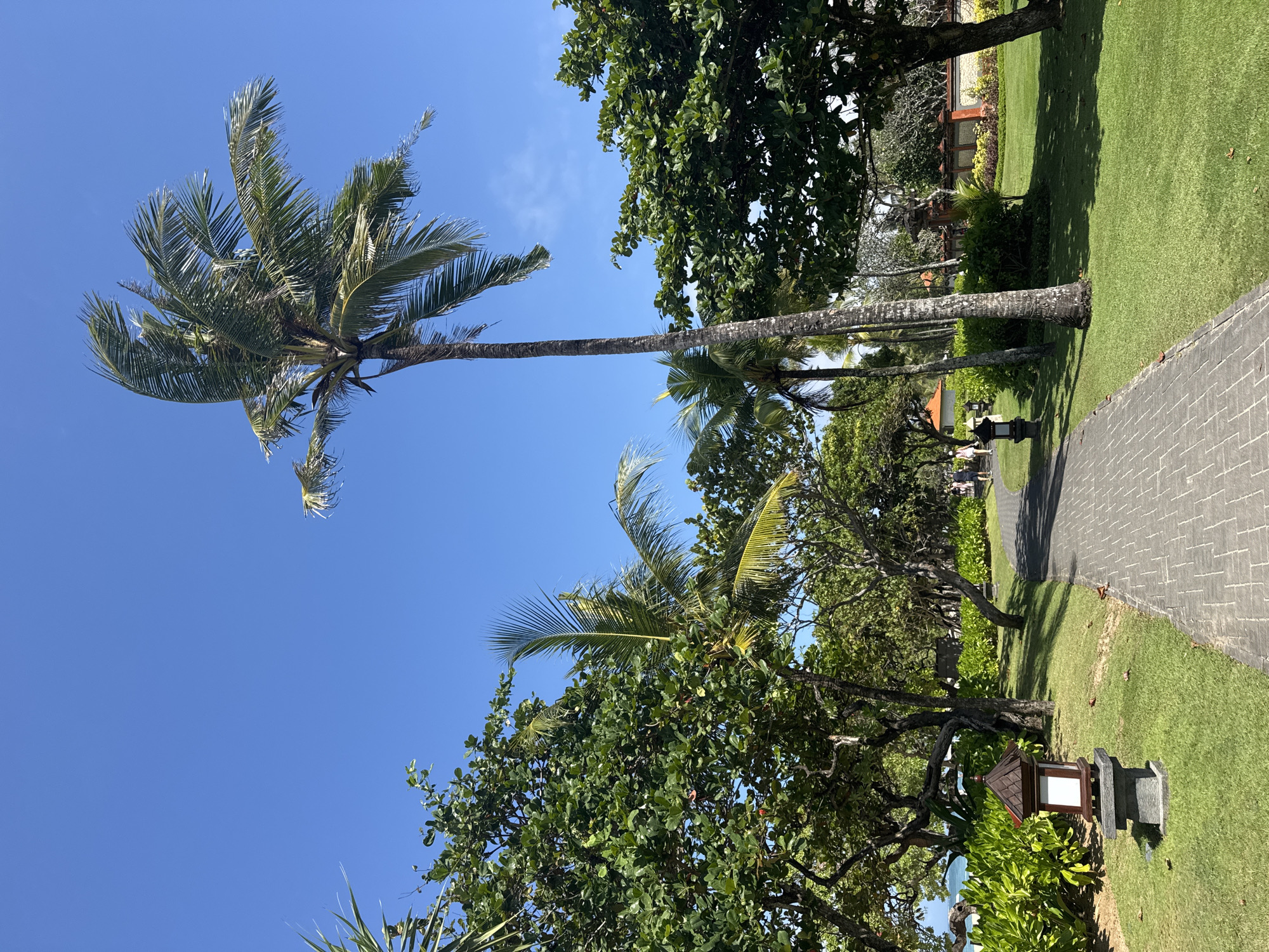 The image depicts a sunny day in a tropical location, likely a resort or a well-maintained garden, with a clear blue sky. The scene is dominated by lush green vegetation, including several palm trees and other leafy trees. A paved pathway, made of gray bricks laid in a pattern, runs diagonally through the frame, bordered by a manicured lawn.
In the foreground, a decorative outdoor lamp with a brown roof and a white illuminated panel sits on the grass near the pathway. Further into the background, there are more trees and glimpses of traditional architecture with tiled roofs, hinting at a Southeast Asian or tropical resort setting. A few people can be seen in the distance walking along the pathway, appearing as small figures in the landscape.
The long, slender trunk of a prominent palm tree stretches across the upper left of the image, its fronds reaching towards the sky. Other palm trees are visible interspersed with the greenery. The lighting suggests it is daytime, with the sun casting shadows on the lawn, indicating a bright and clear day. No text is visible in the image. The overall atmosphere is serene and tranquil, evoking a sense of vacation or relaxation.