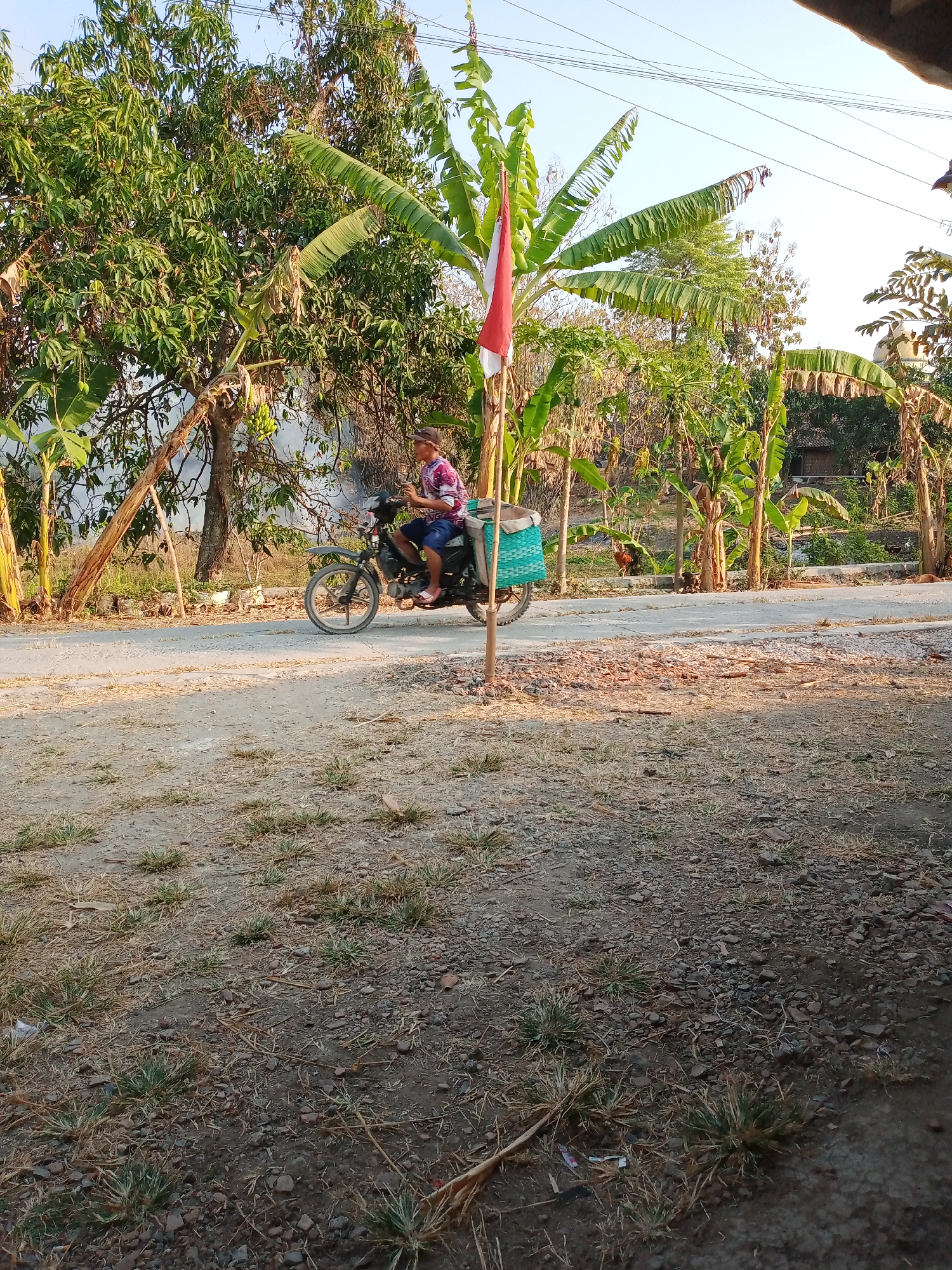 A person on a motorcycle rides on a dirt road. The person is wearing a pink and purple patterned shirt and blue shorts, and a cap. They are carrying a light blue basket on the back of the motorcycle. Behind the motorcycle, there is a red and white flag on a pole, and to the right of the flag, there are banana trees. The road is lined with trees and vegetation. The sky is clear and blue. The scene appears to be in a rural area of Kemiri, Indonesia, likely during the daytime, given the sunlight.
