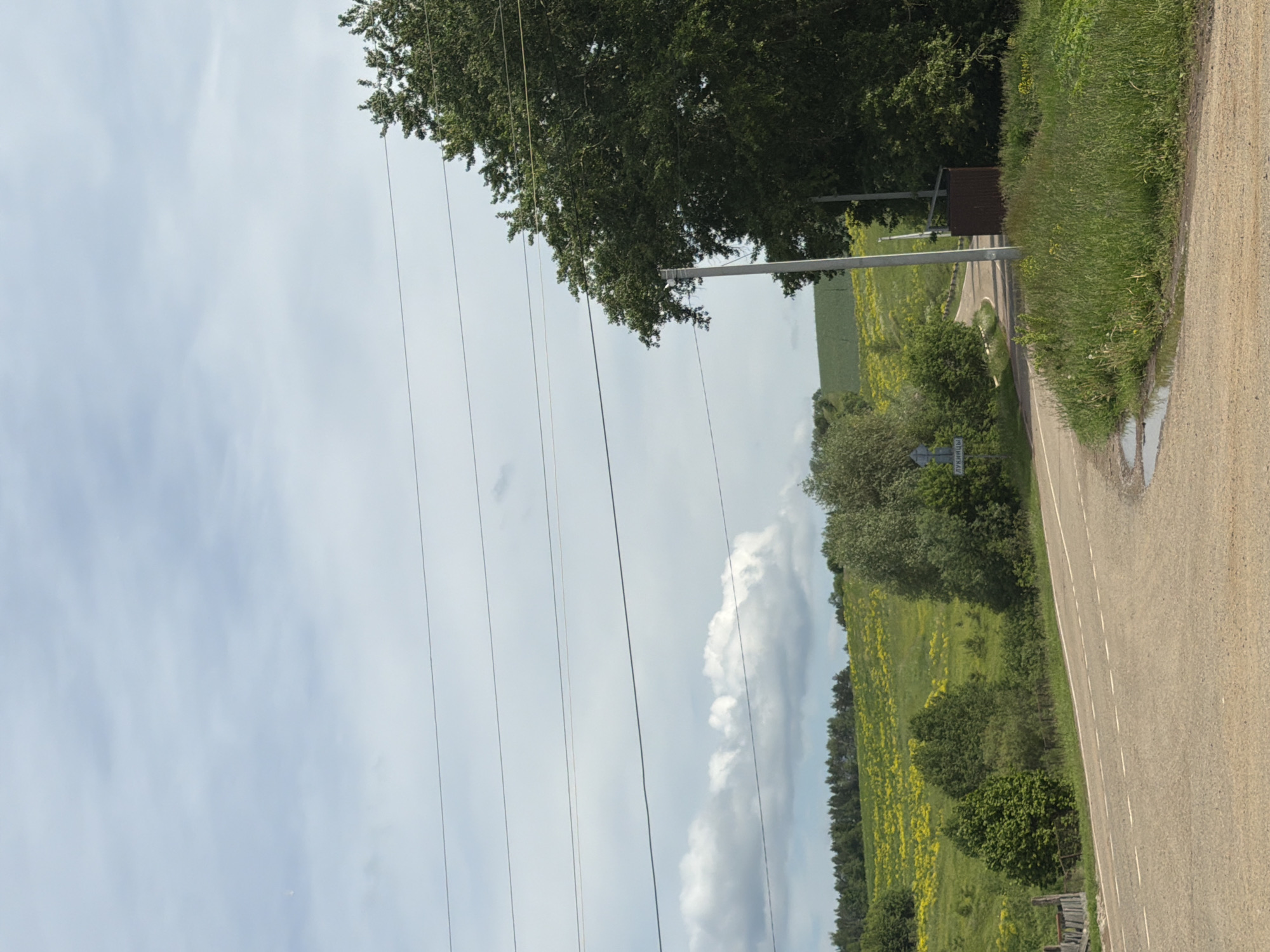 The image displays a rural landscape under a partly cloudy sky, correctly oriented. A dirt road with a partially paved section, marked by white dashed lines, extends from the foreground towards the right side of the frame. A small puddle of water is visible on the unpaved part of the road in the foreground.
To the right of the road, a field of green grass dotted with yellow flowers, possibly rapeseed, stretches towards a distant treeline. On the left side of the road, a large, leafy tree is prominent in the upper left, with smaller trees and bushes lining the roadside further along. Overhead power lines run horizontally across the upper portion of the sky.
Further down the road on the left, a small, dark brown structure, resembling a shed or bus stop shelter, is visible beside a utility pole. A white rectangular sign on the left shoulder of the road clearly shows the Cyrillic text "ЛУКИНЦЫ". There are no people or specific activities depicted. The scene suggests a calm, daytime setting, likely during spring or summer, in Lukintsy, Russia, as indicated by the sign.