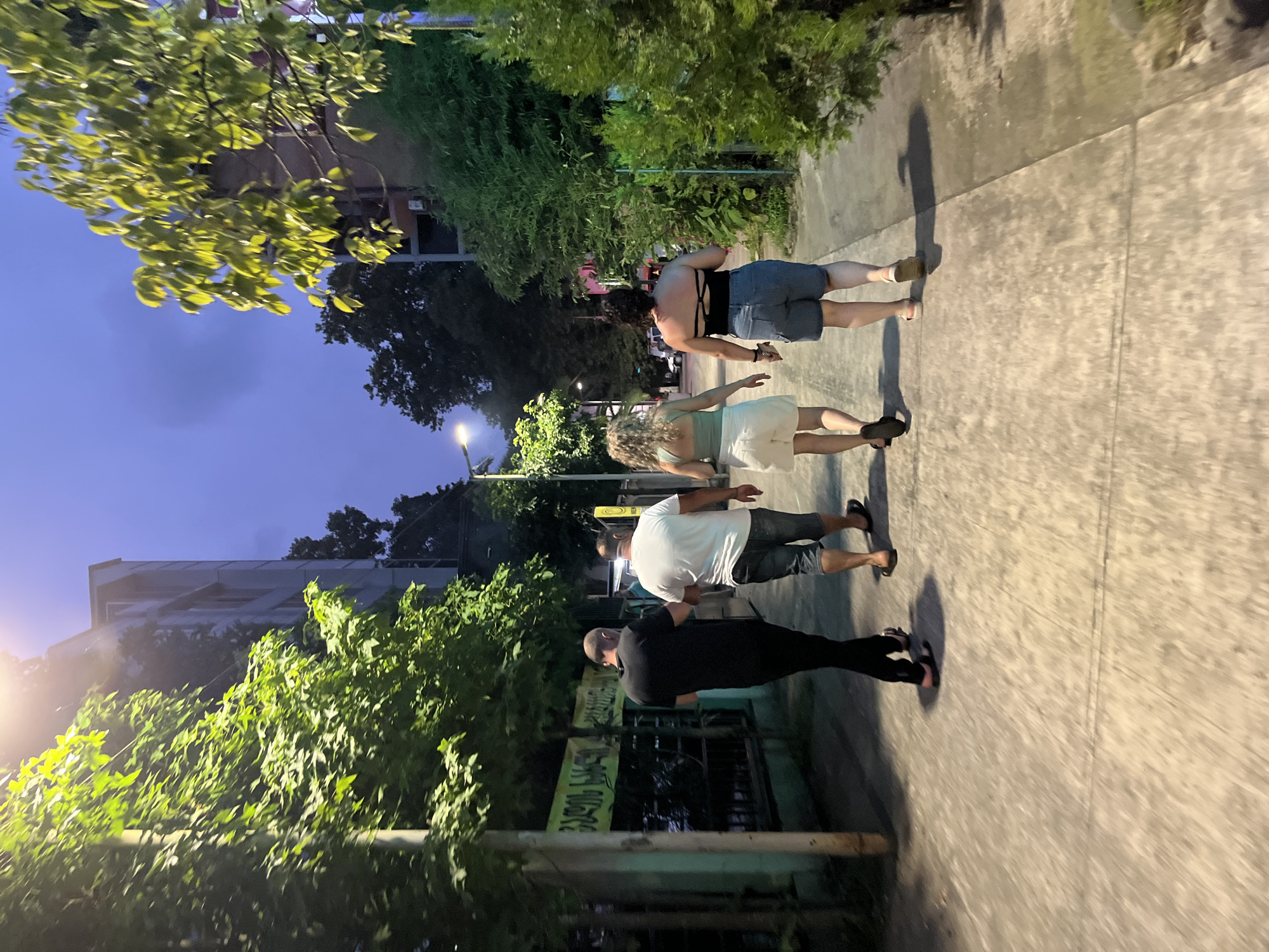 A group of four people are walking away from the camera down a paved sidewalk in the city of Ureki, Georgia, at dusk. The two men in the foreground are walking side-by-side, with the man on the left wearing a black t-shirt and black pants, and the man on the right wearing a white t-shirt and denim shorts. The two women are walking behind them. The woman on the left has blonde curly hair and is wearing a light green halter top and white shorts. The woman on the right has dark hair and is wearing a black strapless top and denim shorts. They are walking on a sidewalk that is bordered by lush green trees and foliage on both sides. Buildings are visible in the background, and a streetlamp illuminates the scene from the left. The sky is a deep blue, indicating the transition from day to night.