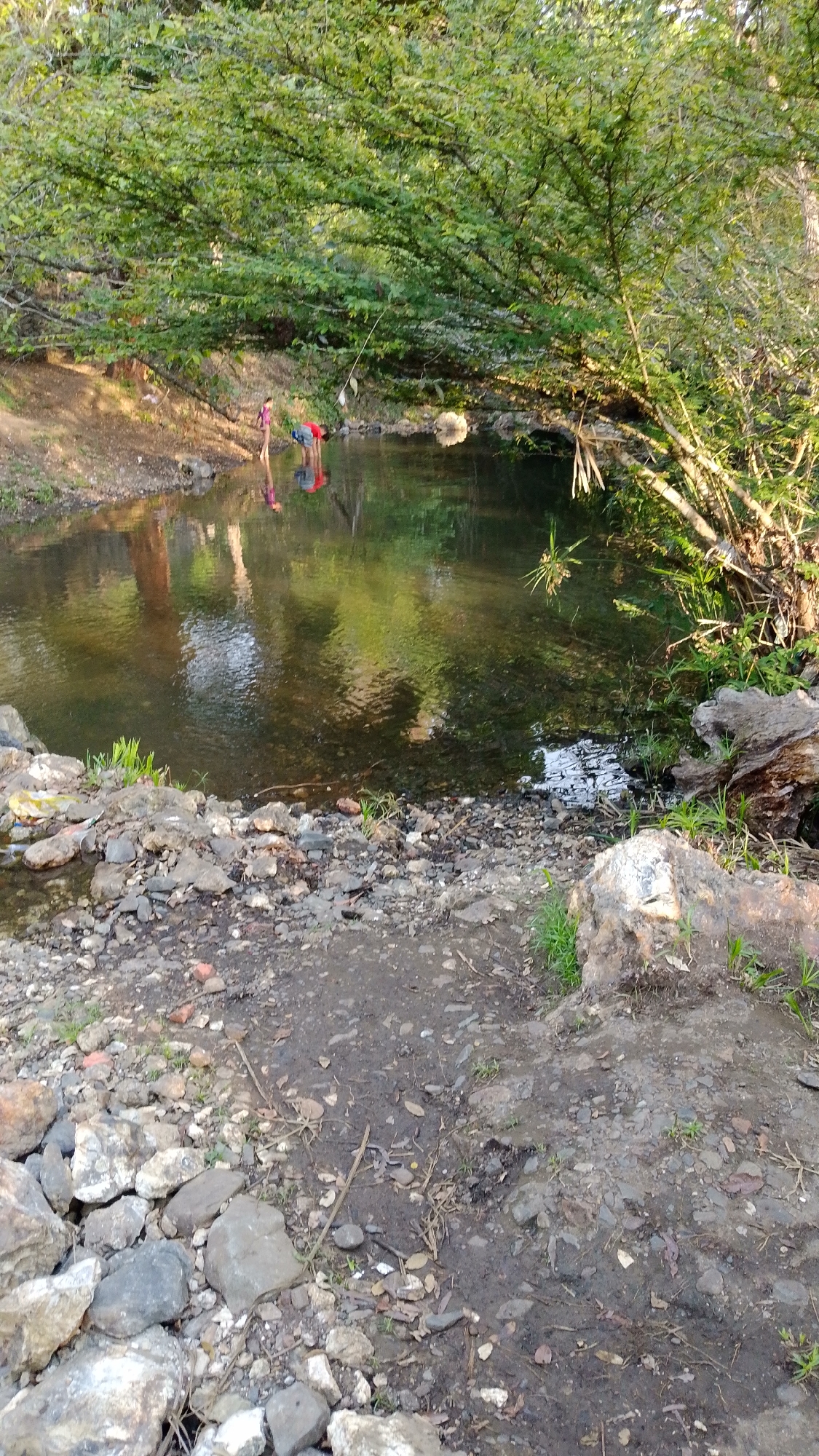 This image shows a small, calm body of water partially shaded by a large, leafy tree. The water reflects the surrounding greenery and the sky. On the left bank, two individuals are visible: one standing near the water's edge, the other bending over the water. The foreground is composed of rocky, uneven terrain with patches of soil and sparse vegetation. A log lies near the water's edge on the right side of the image. The location is Tinaquillo, Venezuela.