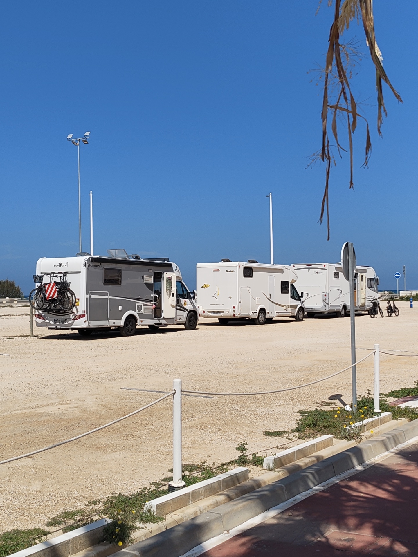 The scene depicts a coastal motorhome parking area in Dénia, Spain, under a clear, bright blue sky. Three motorhomes are parked on an unpaved, sandy-gravel surface, generally facing towards the right side of the frame.
From left to right:
1. A grey and white "Sunlight" branded motorhome is parked with its rear facing the viewer. A black bicycle rack is mounted on the rear, holding two dark-colored bicycles, one featuring a red and white striped cover or bag on its frame. The side door of the motorhome is slightly ajar.
2. A white "Benimar" branded motorhome is parked next to the first.
3. A third white motorhome, partially obscured, is parked furthest to the right. Two smaller bicycles, possibly folding bikes, are parked on the ground next to its front.
In the background, the horizon line indicates the sea, visible on the far left. Tall, metallic light poles with floodlights are visible, along with several white vertical poles. A street sign pole with a blue circular arrow sign is present in the mid-ground, right of center.
The foreground features a paved reddish-brown pathway separated from the parking area by a concrete curb system. Along the curb, sparse green vegetation with small yellow flowers grows. A rope barrier, supported by white posts, runs parallel to the curb, demarcating the edge of the parking area. Dried, brown fronds, possibly from a palm tree, hang into the frame from the top right. No people are visible in the scene.