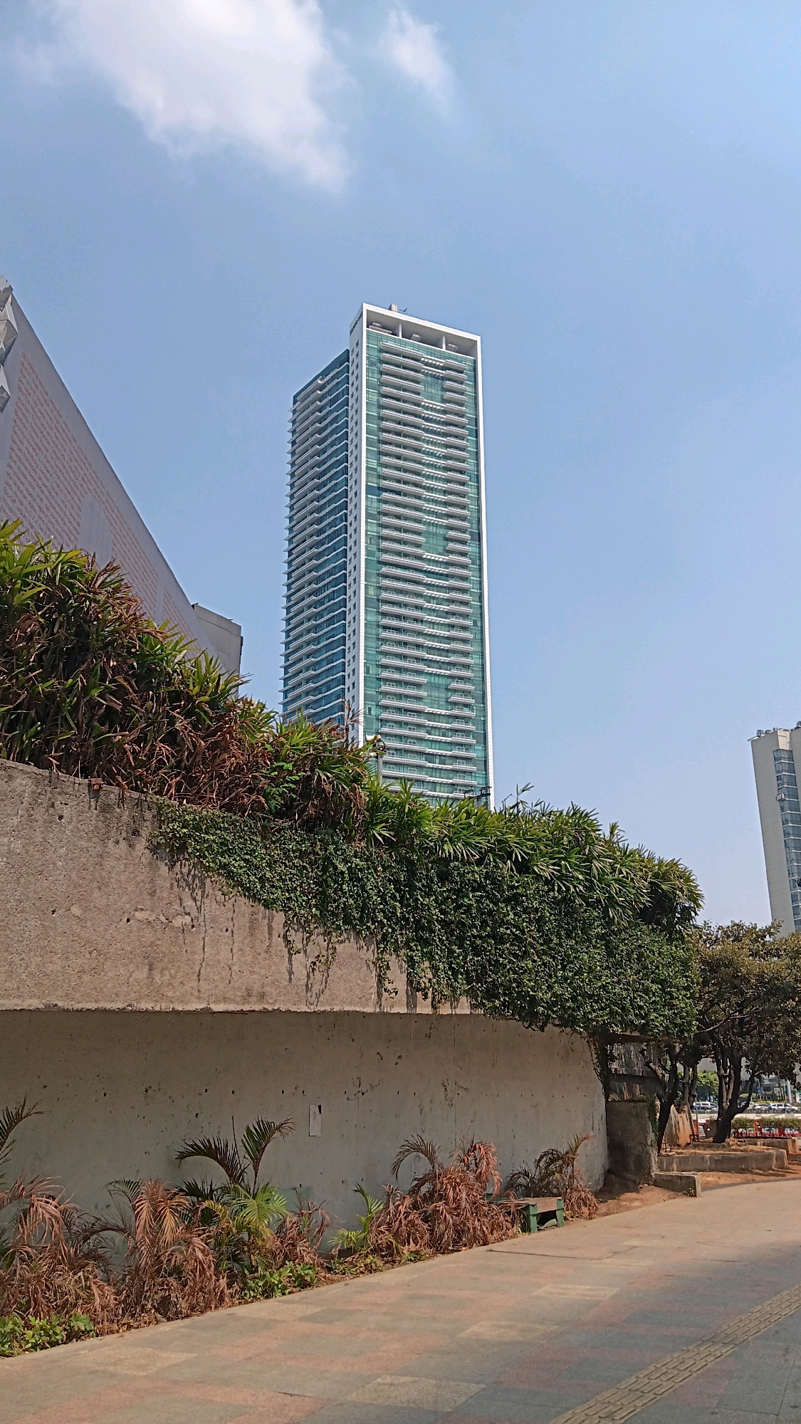 A tall, modern skyscraper with a glass facade and white accents dominates the skyline. Below the skyscraper, a textured concrete wall runs horizontally across the foreground, draped with lush green ivy and topped with bushy foliage. In front of the wall, a paved pathway is visible, with some dry, reddish-brown plants scattered along the edge. The scene is set against a clear blue sky with a few scattered clouds. The architectural style and vegetation suggest an urban environment in Central Jakarta, Indonesia.